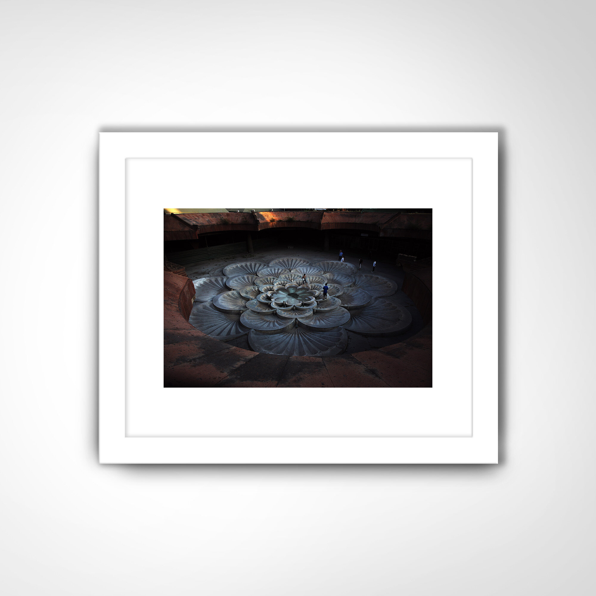 ARMENIE | Concrete Rose