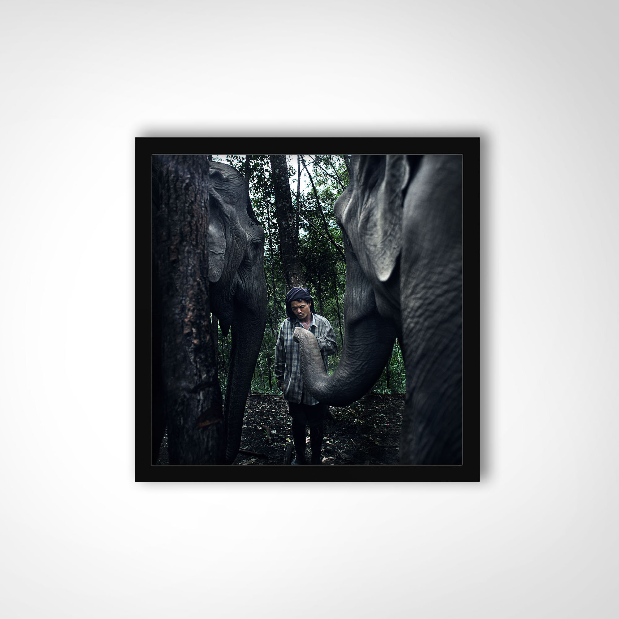 THAILAND | The elephant man