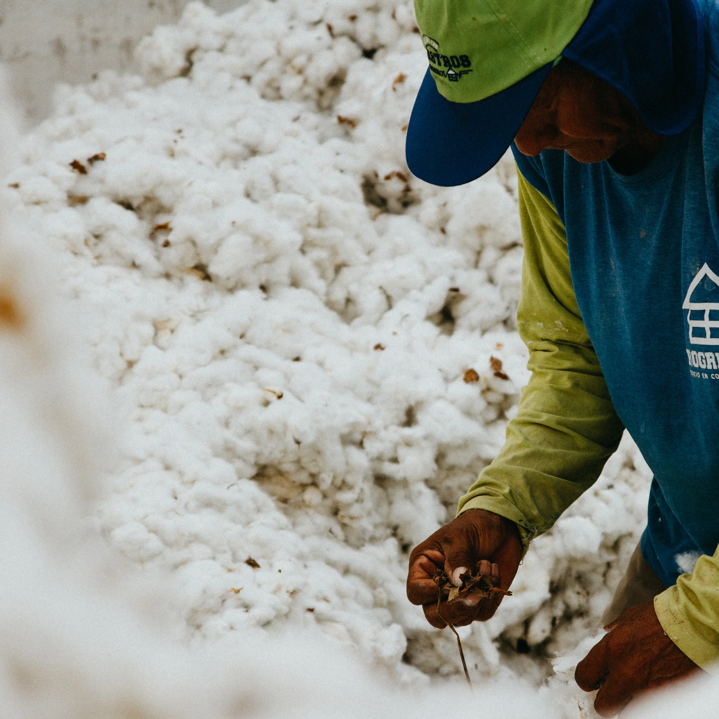 organiccottonginningperu.jpg