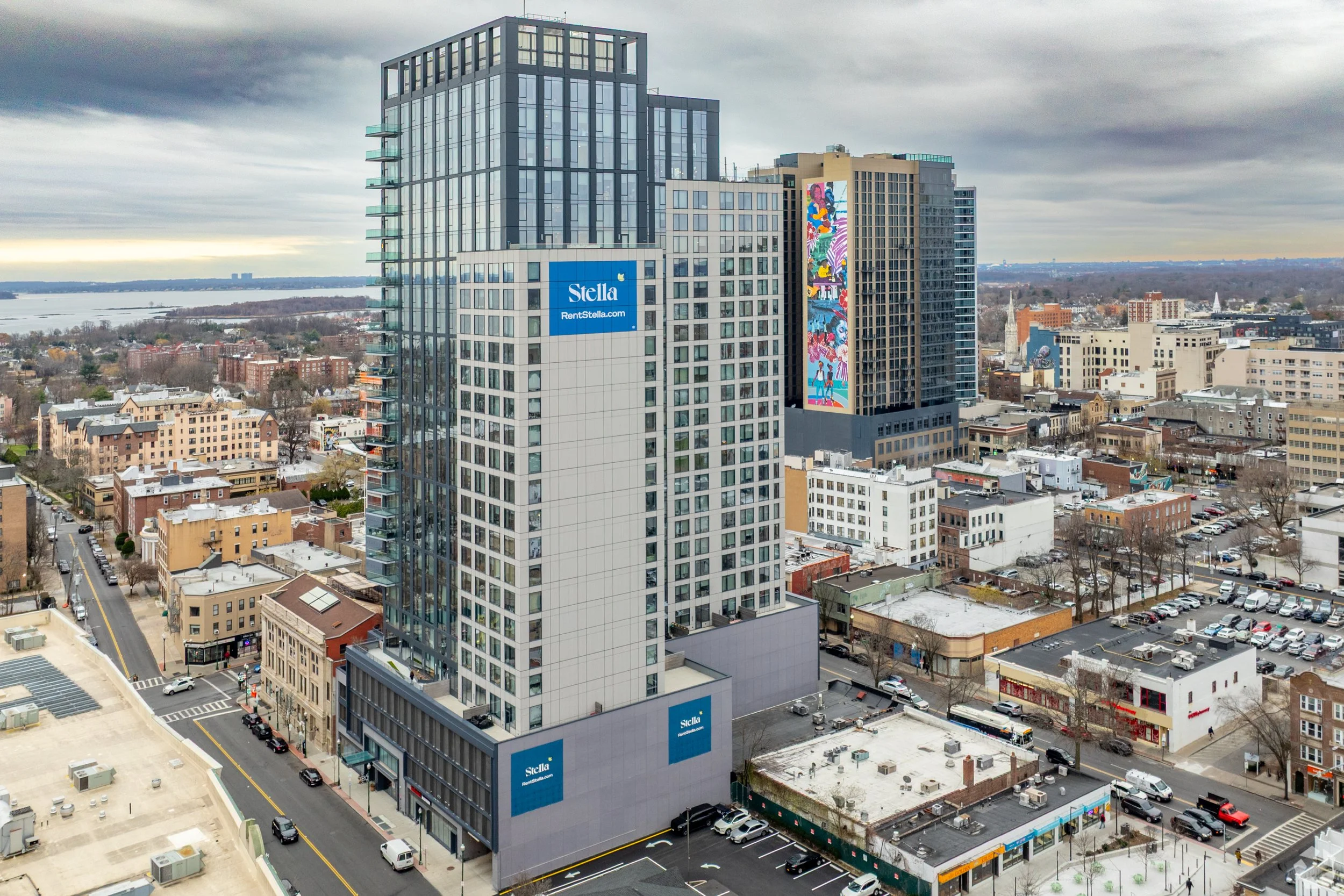 10981999_The Stella_643682174.jpg