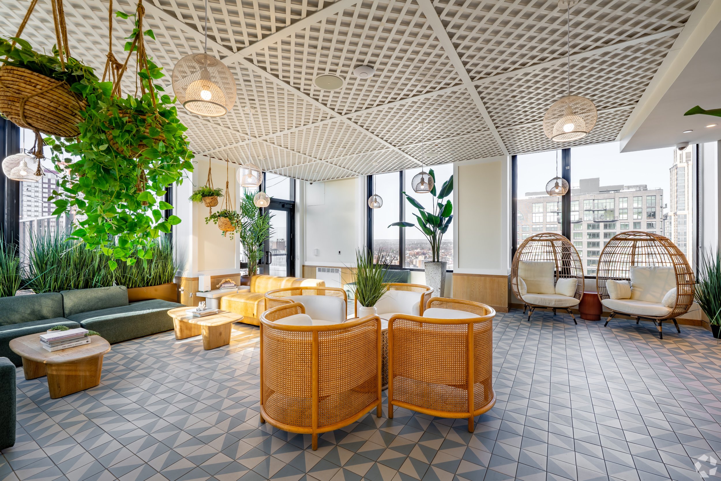 10981999_The Stella_643681203.jpg