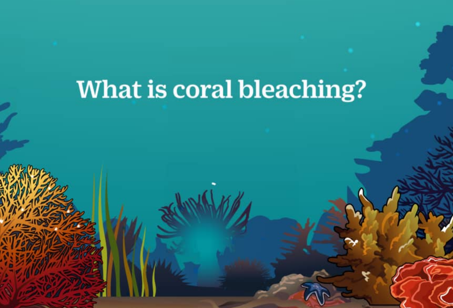  Here is a motion graphic animation illustrating what happens during coral bleaching, the conditions and human factors leading to it and economic impact of its destruction. Coral reefs are one of the most fragile living systems on earth, and by infor