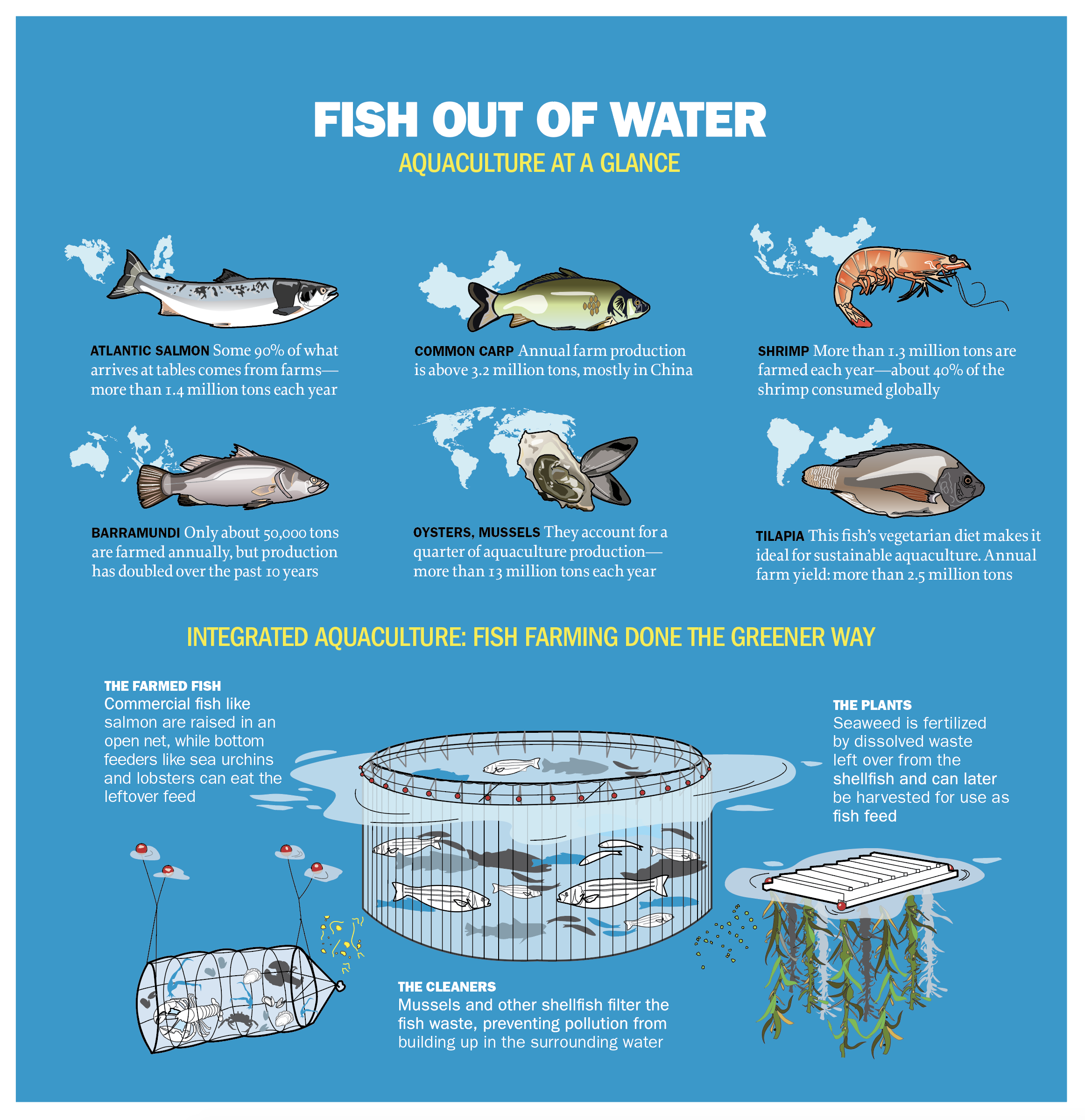  Fish are the last wild food, but our oceans are being picked clean. Can farming fish take the place of catching them?  For “Food Infographics”, Taschen Books, 2018  