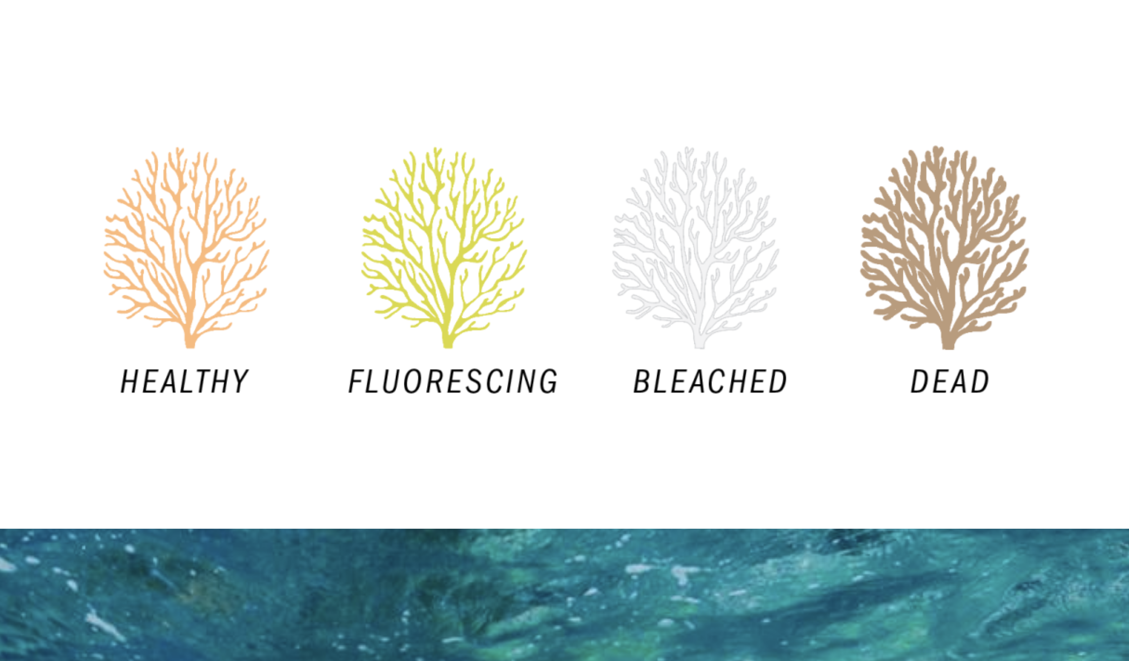 coral-bleaching-types.png