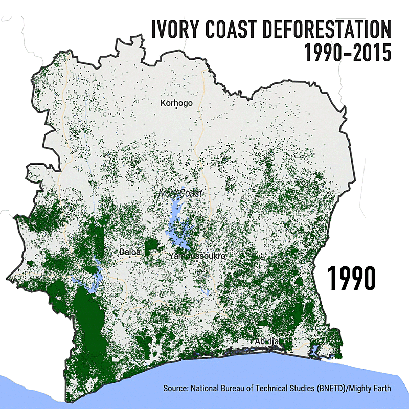 Huffpo Choc Forest Loss4.gif