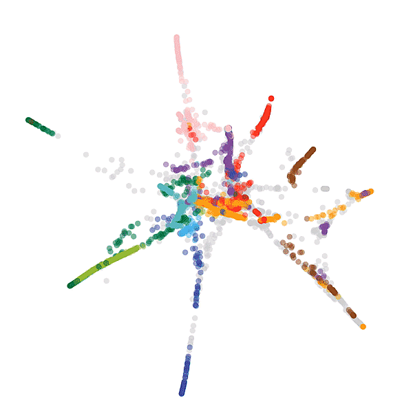 Sciam Dogs.plot.twitter.fade.gif