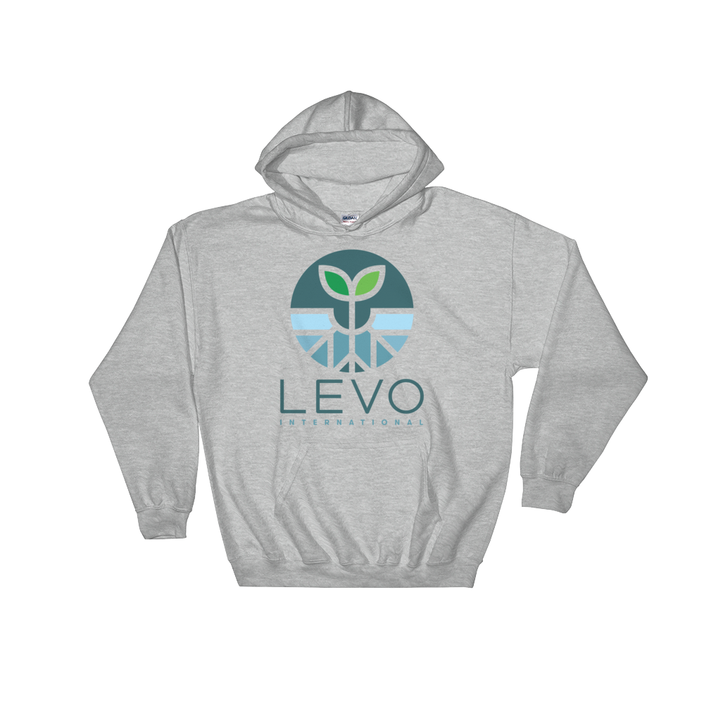Levo-logo-2019-stacked_mockup_Front_Flat_Sport-Grey.png