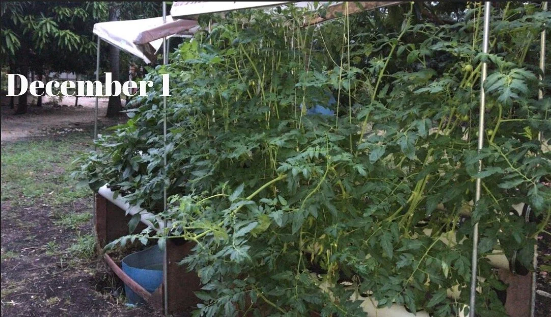 Haitian Operations Up and Running