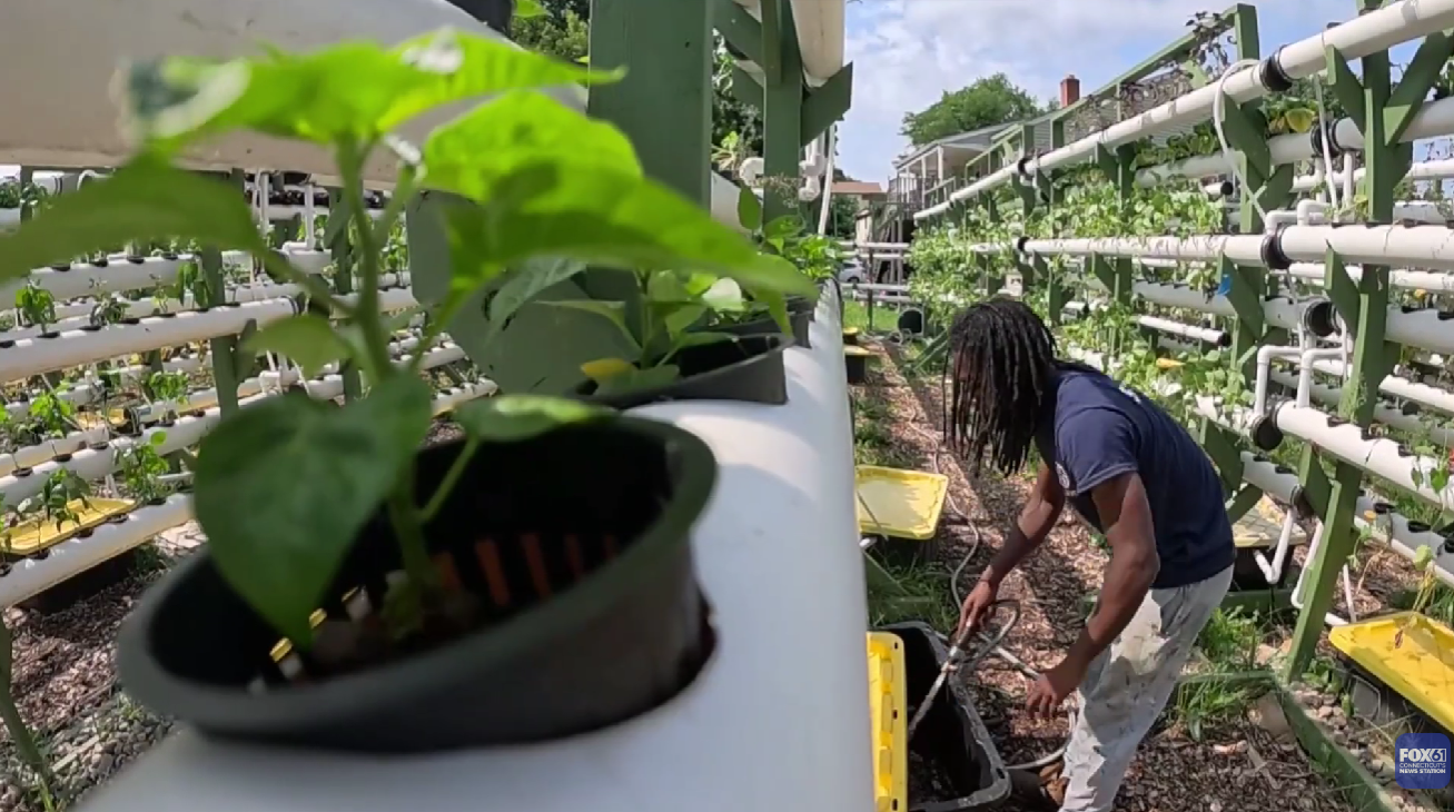 Why Buying Local Food Is Safer and Better for Your Community