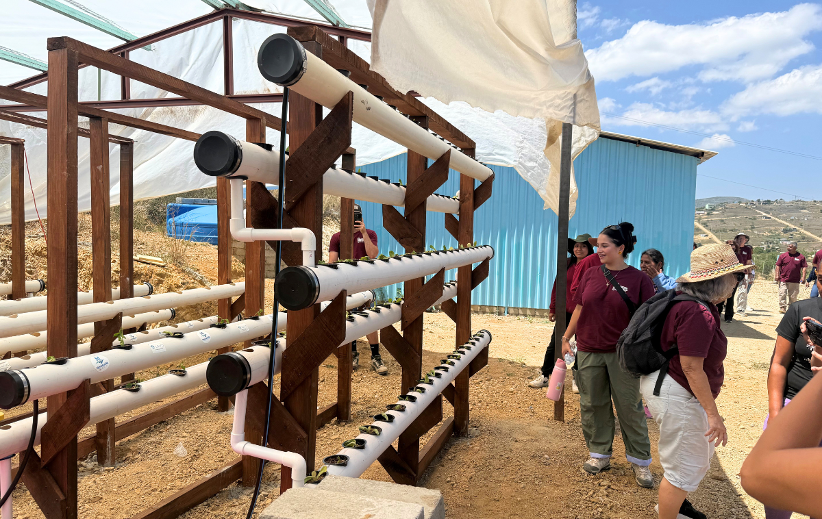 Franciscans transform neglected spaces into sustainable farms