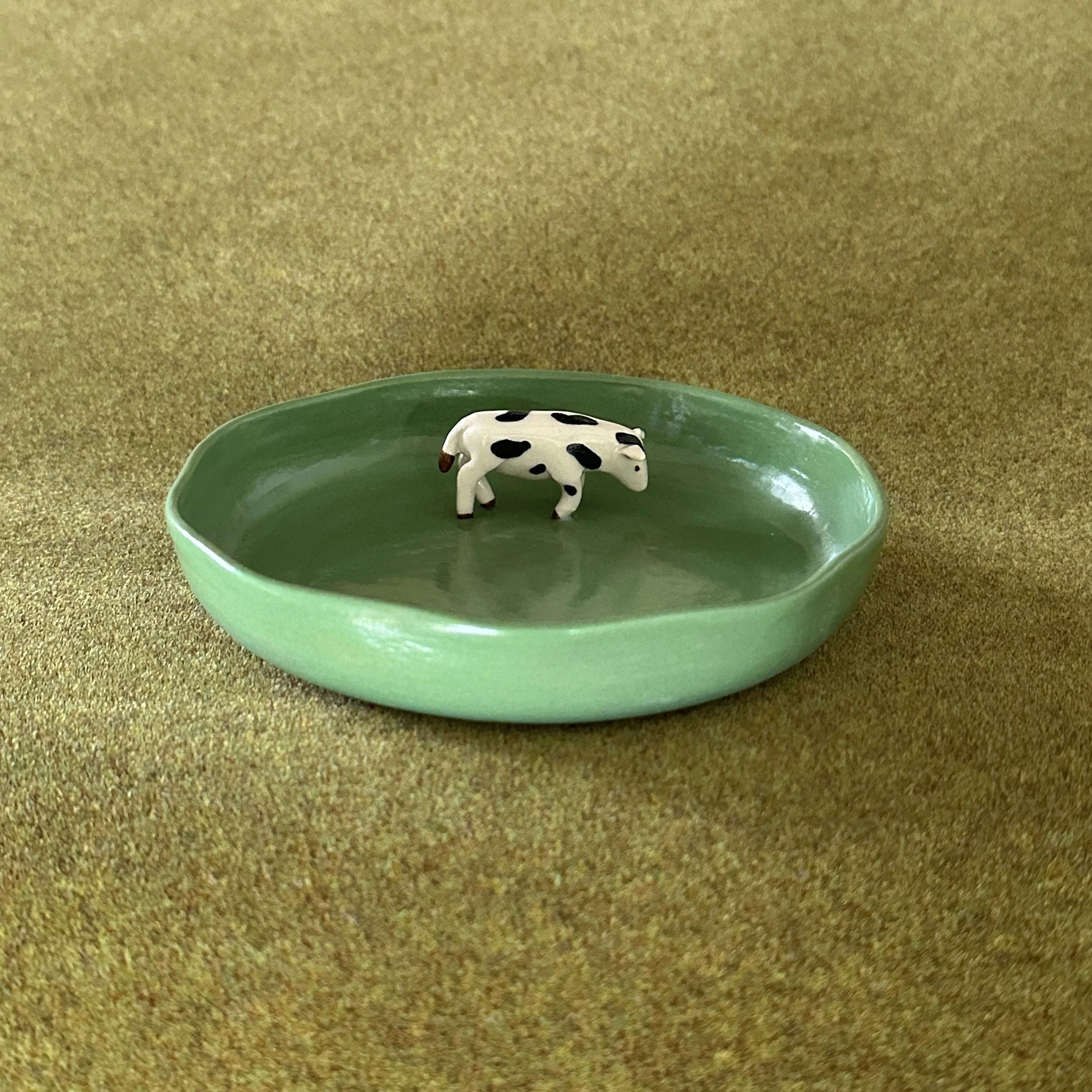 cowdish.jpg