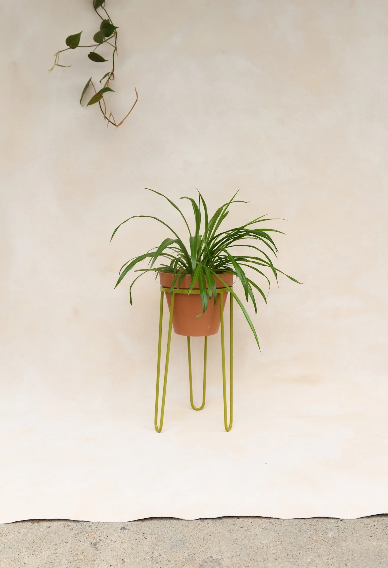 Welded Hairpin Plant Stand With Pot- Avocado