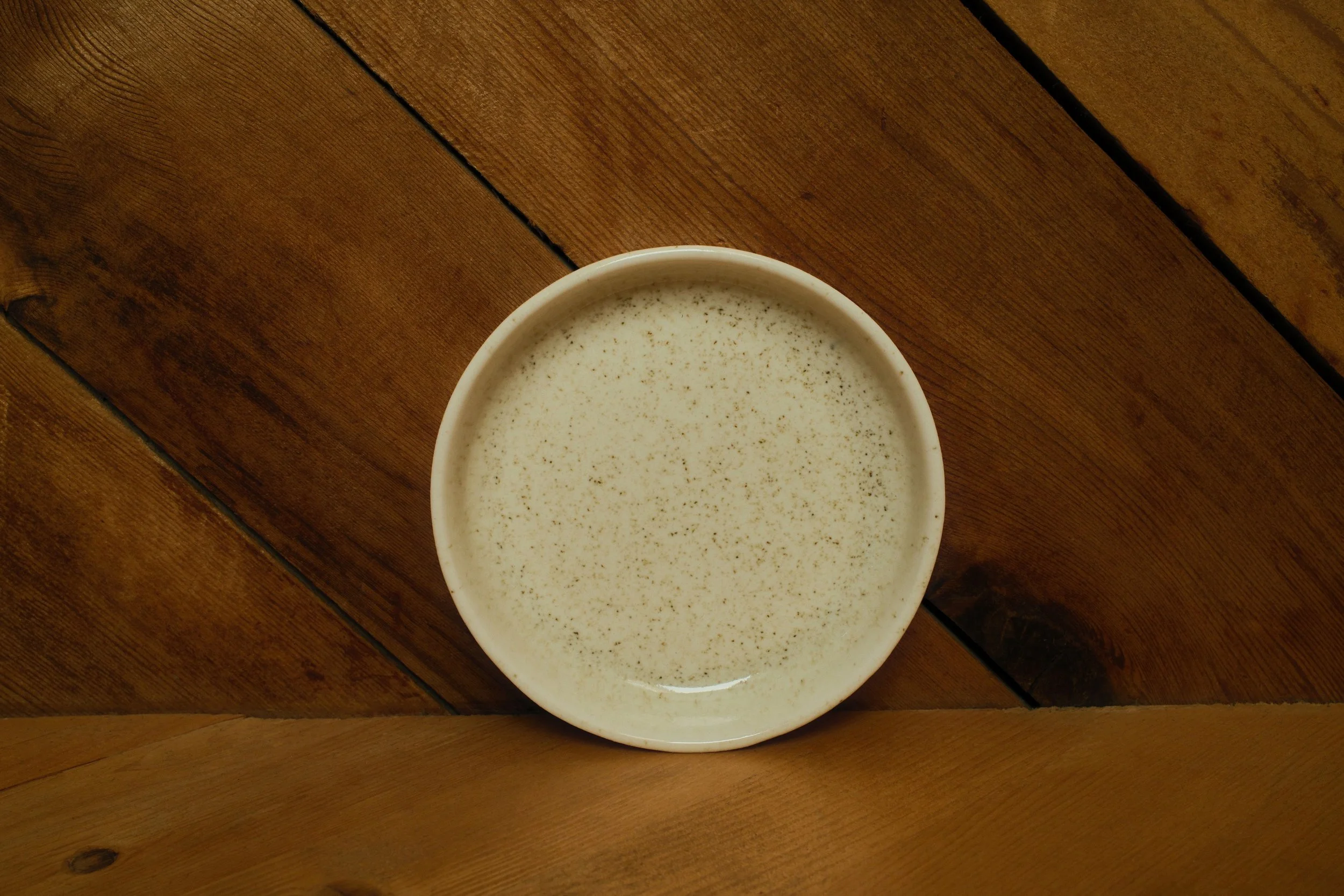 Salt Flats Ceramic Dish