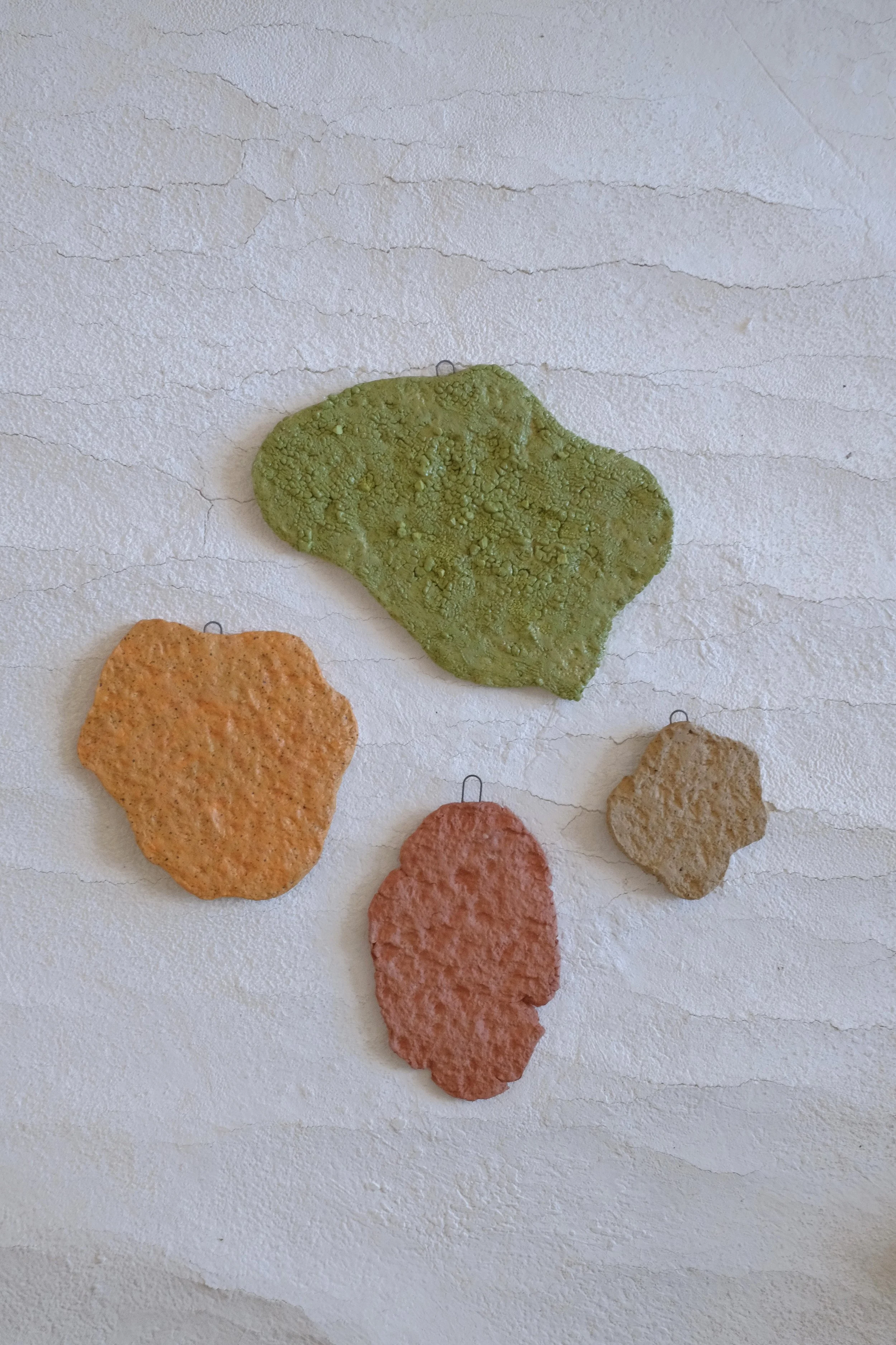 Lichen Wall Art 1.jpg