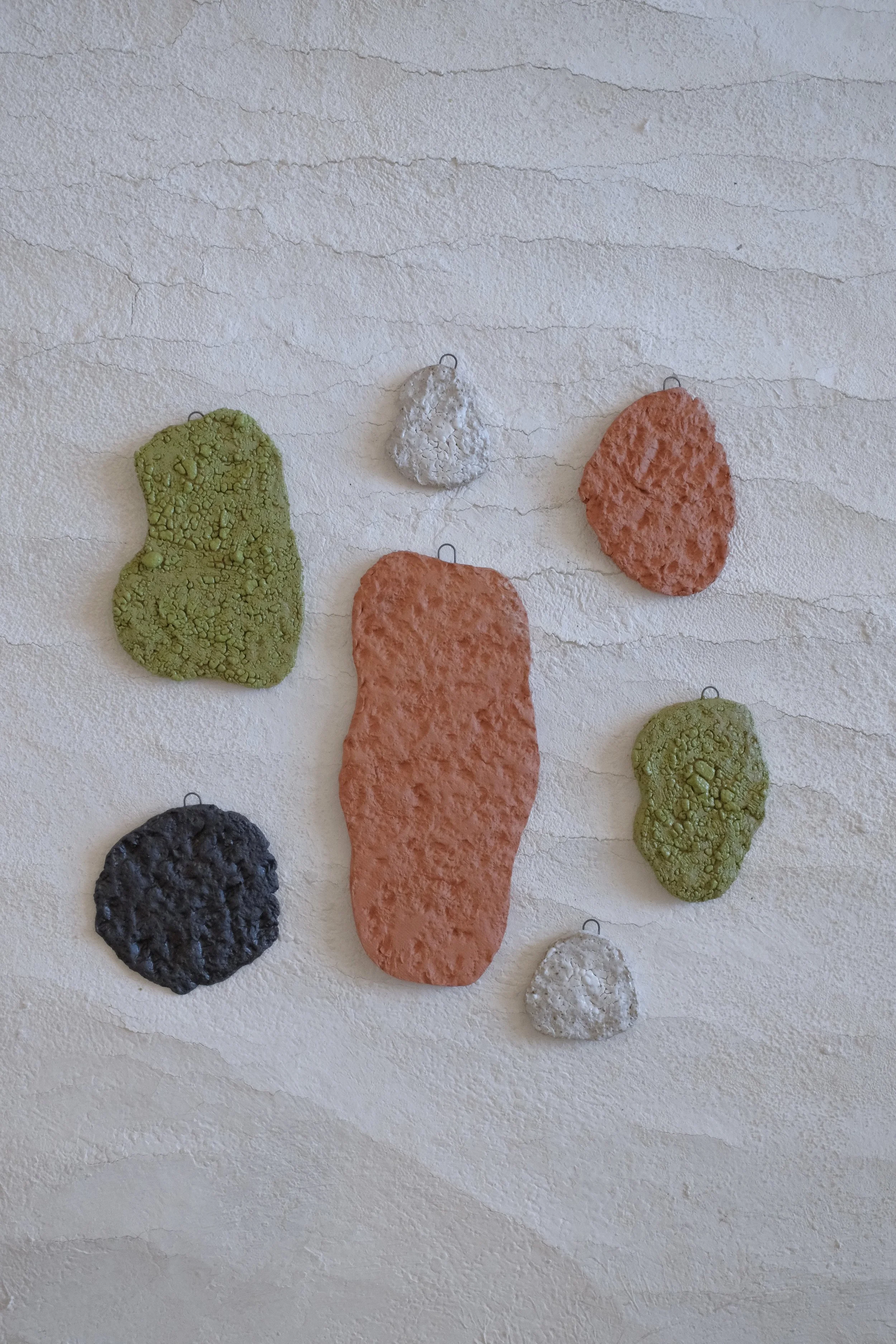 Lichen Wall Art 2.jpg