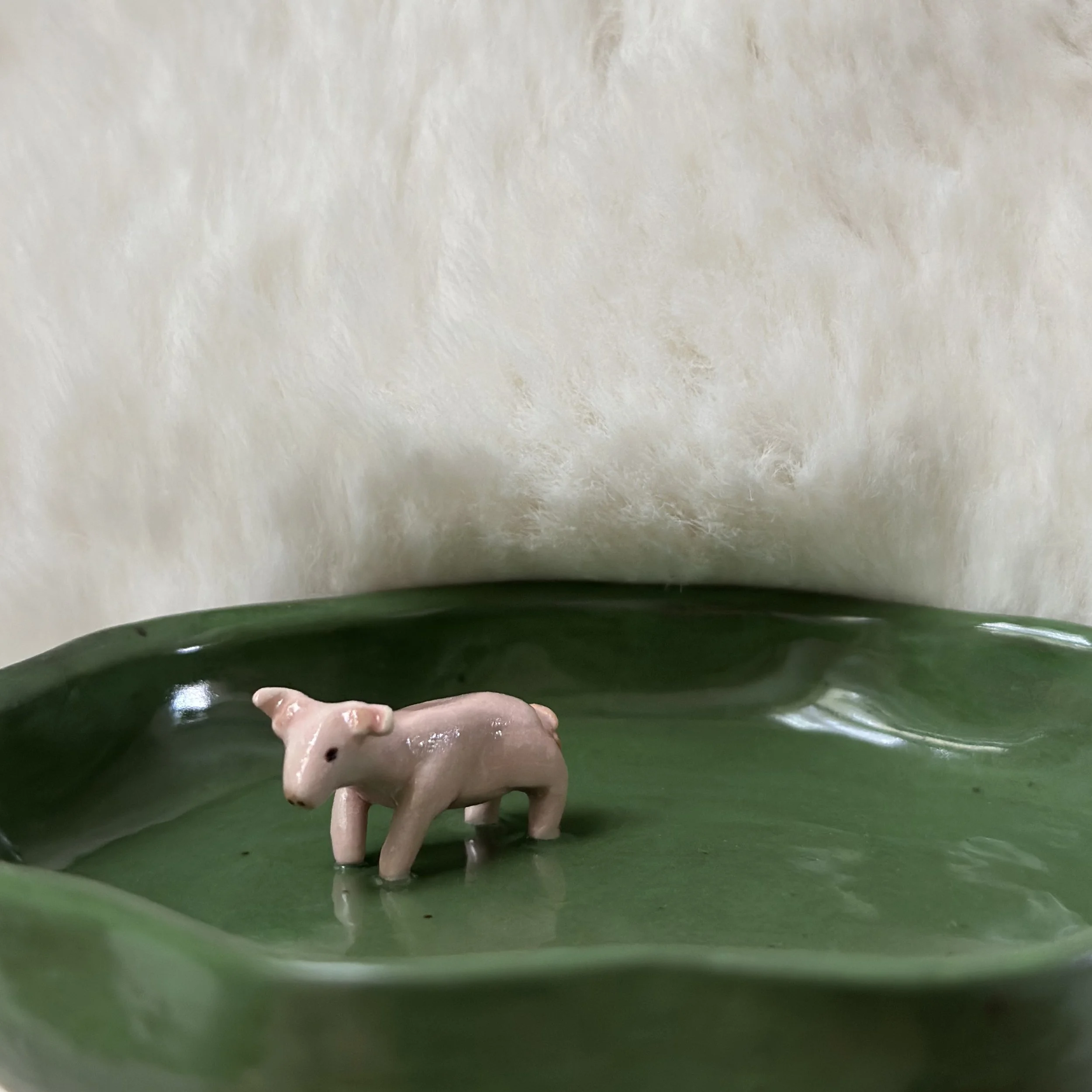 pigdishwhite.jpg