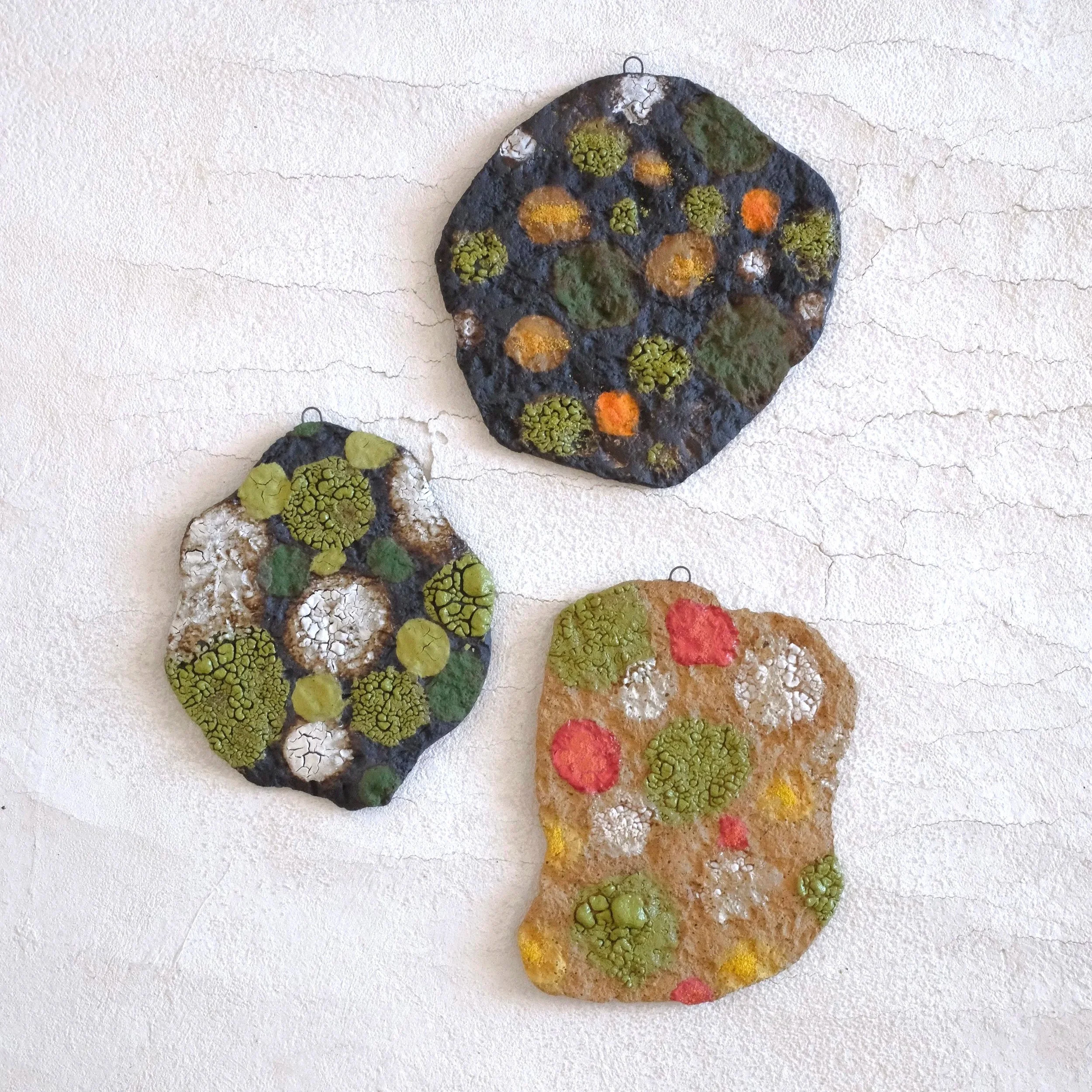 Lichen Rock Ceramic Wall Art - Individual