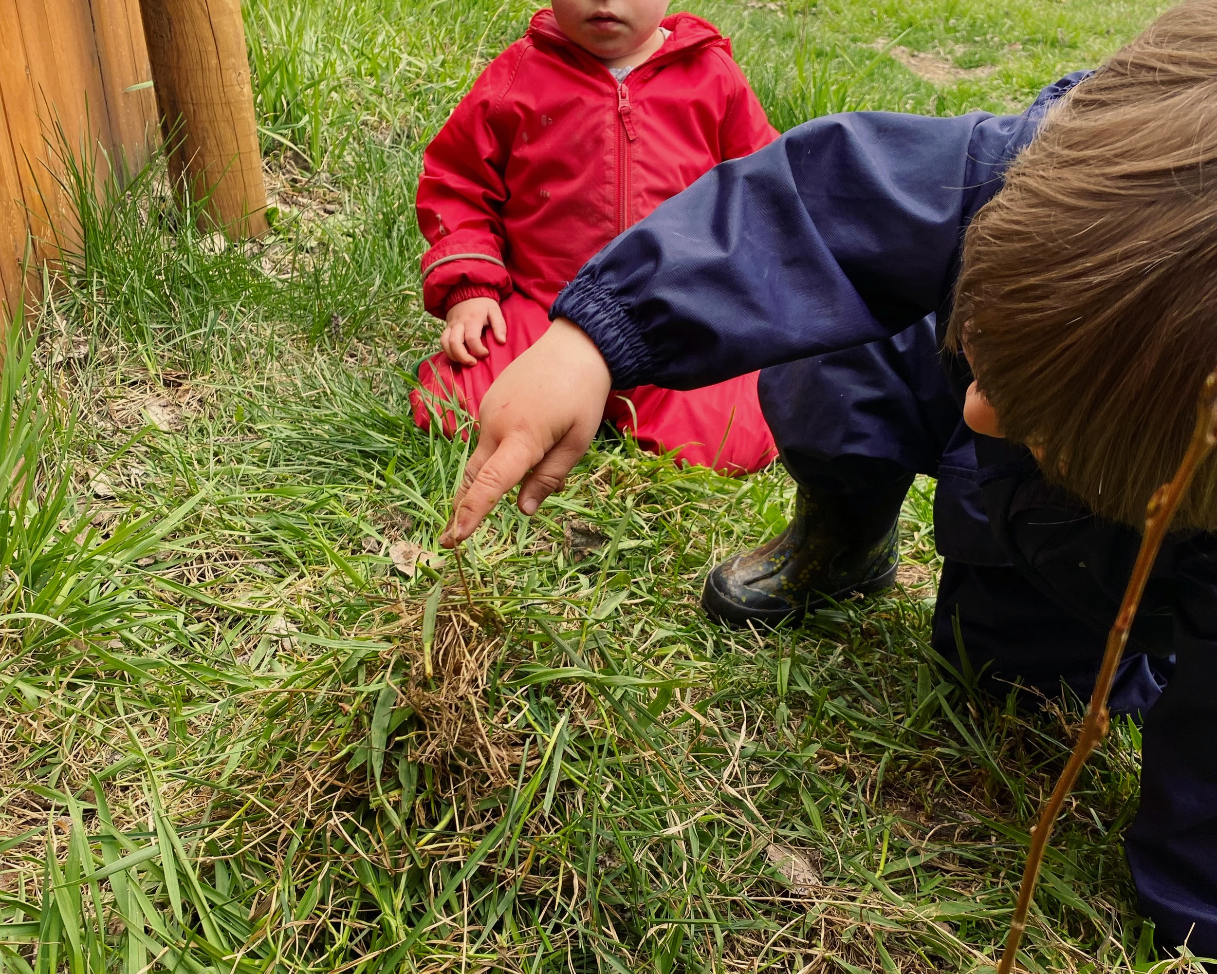 The Importance of Play