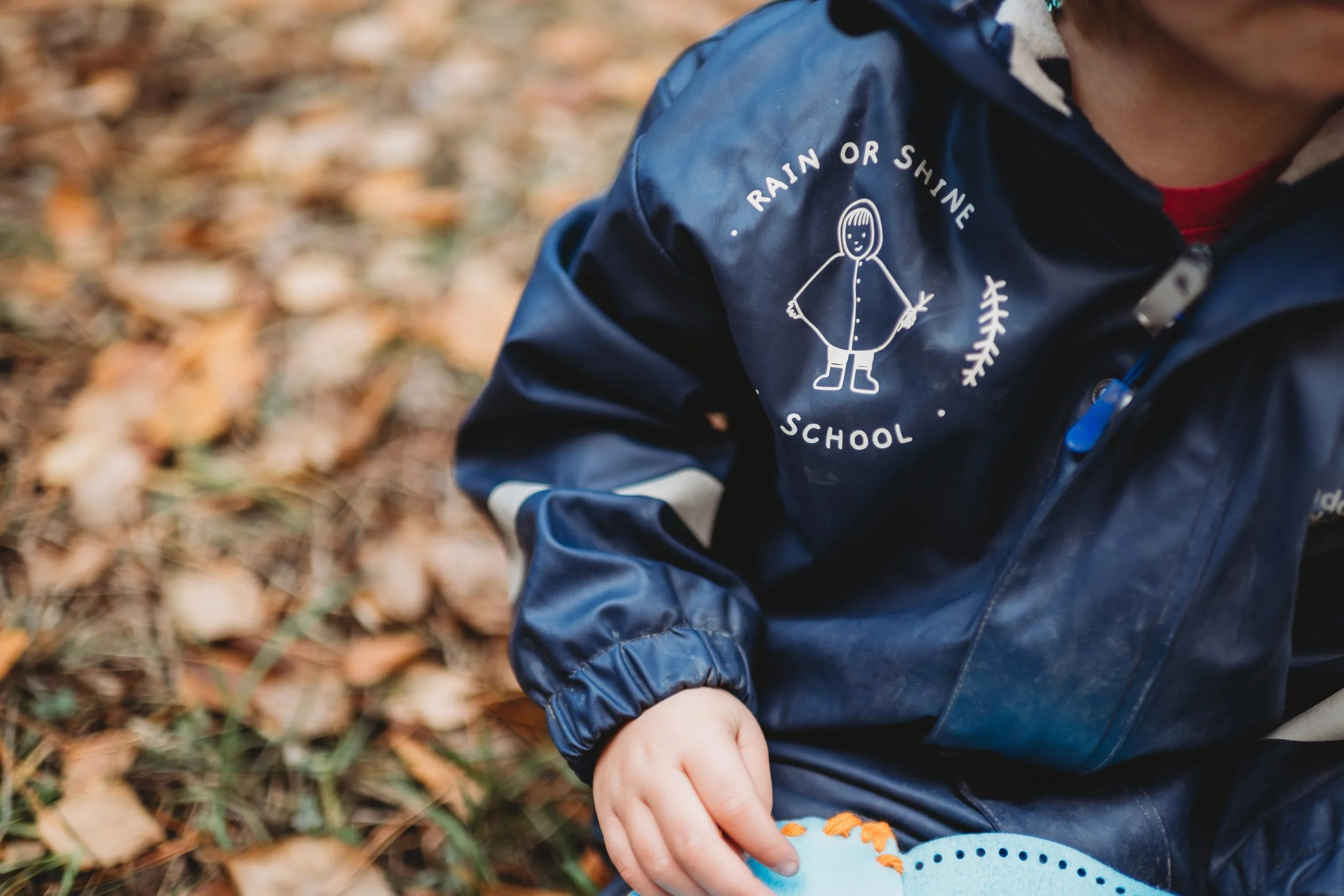 6 Categories of Risky Play