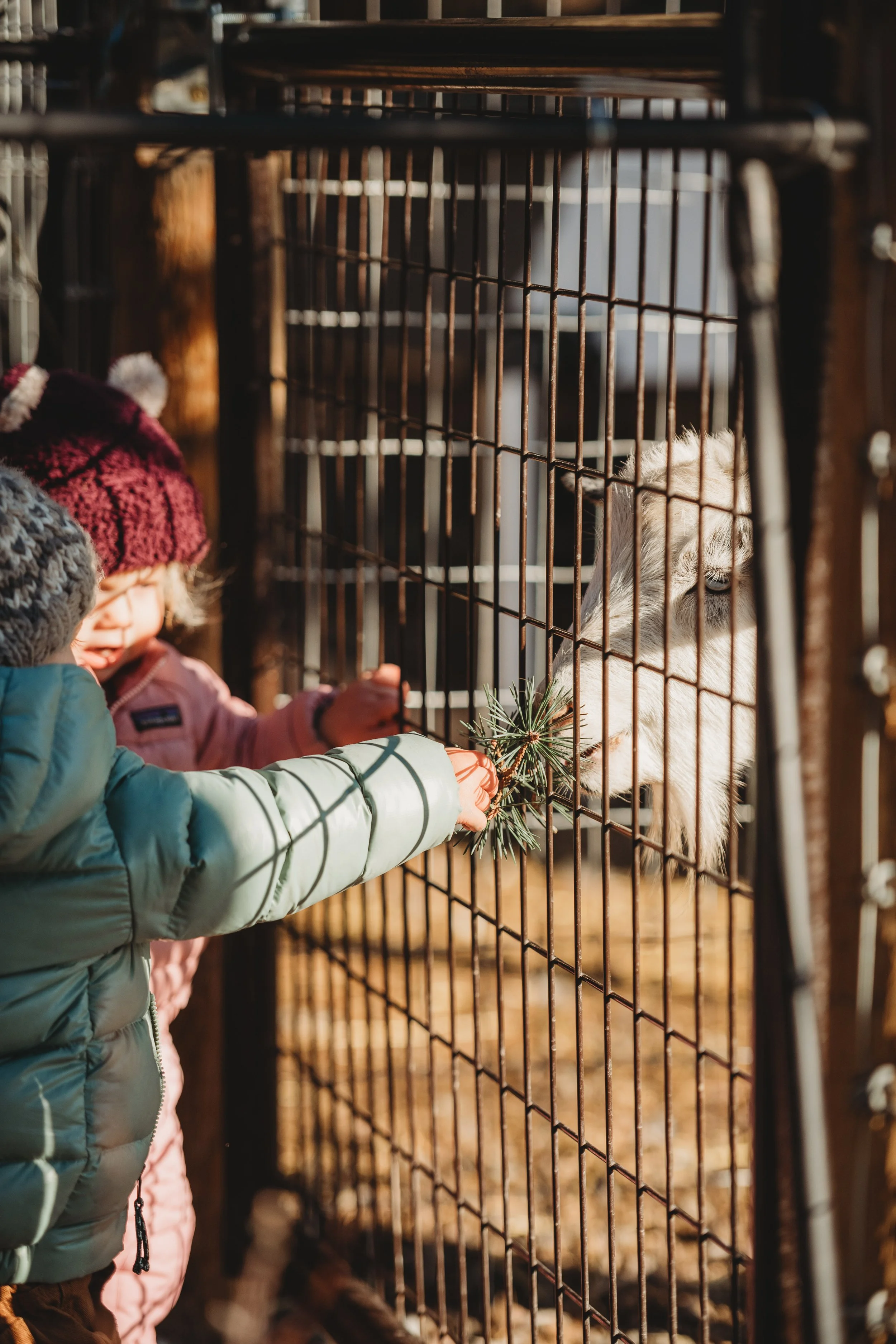 Growing Body, Spirit, and Belonging in the Moon Garden.
