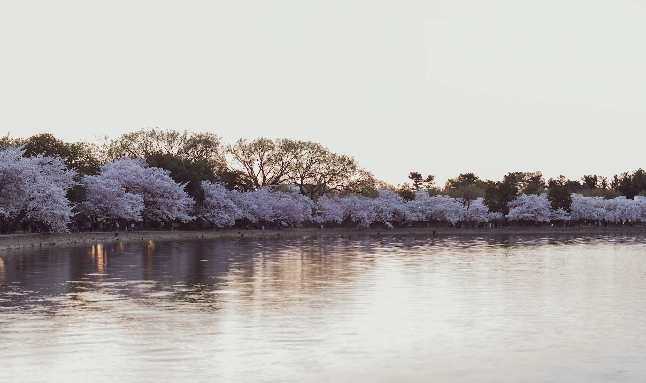 DSC_1497-2.jpg