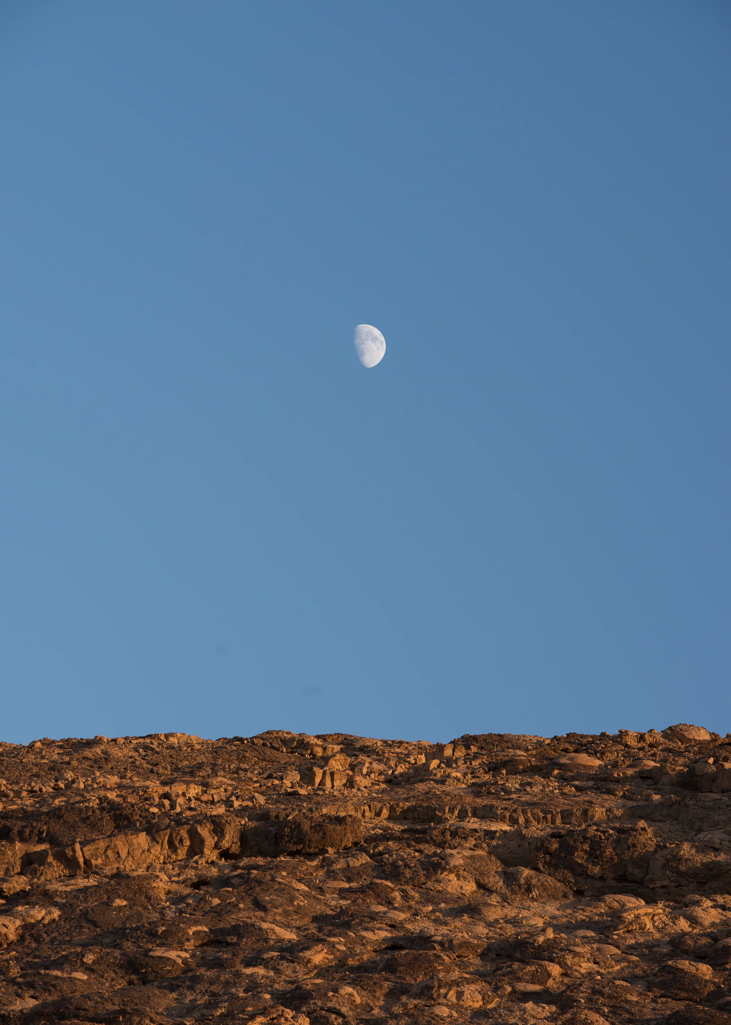 DSC_9655.jpg