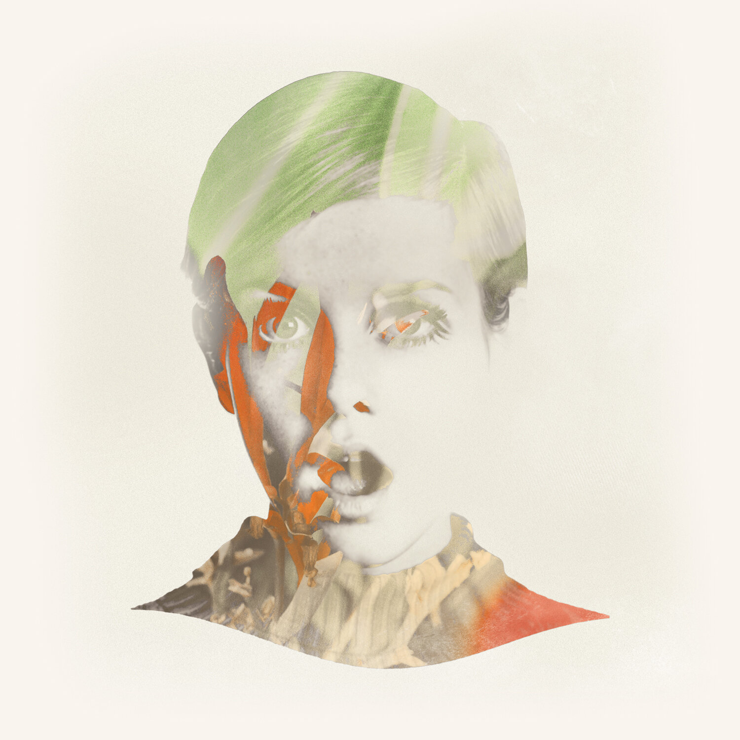 twiggy.jpg