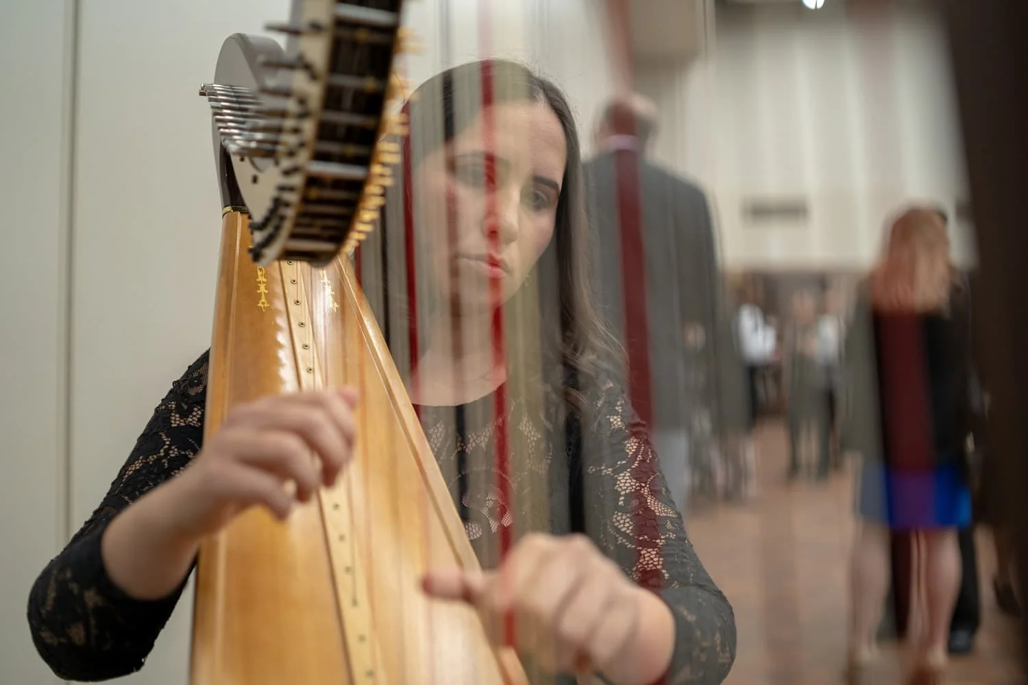 harpist playing music during dinner at Oakland University Alumni Awards 2018