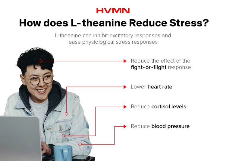 How Long Does L Theanine Stay In Your System L-Theanine: Tea’s Amino Acid for Overall Wellness