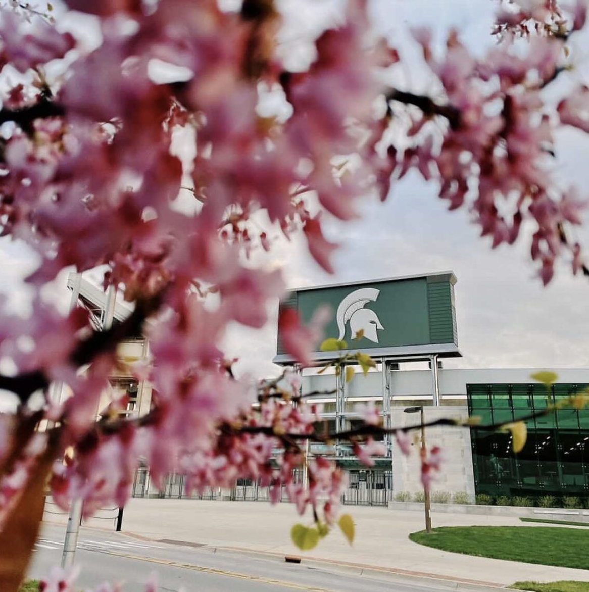 Screen Shot 2021-08-16 at 7.31.43 PM.png