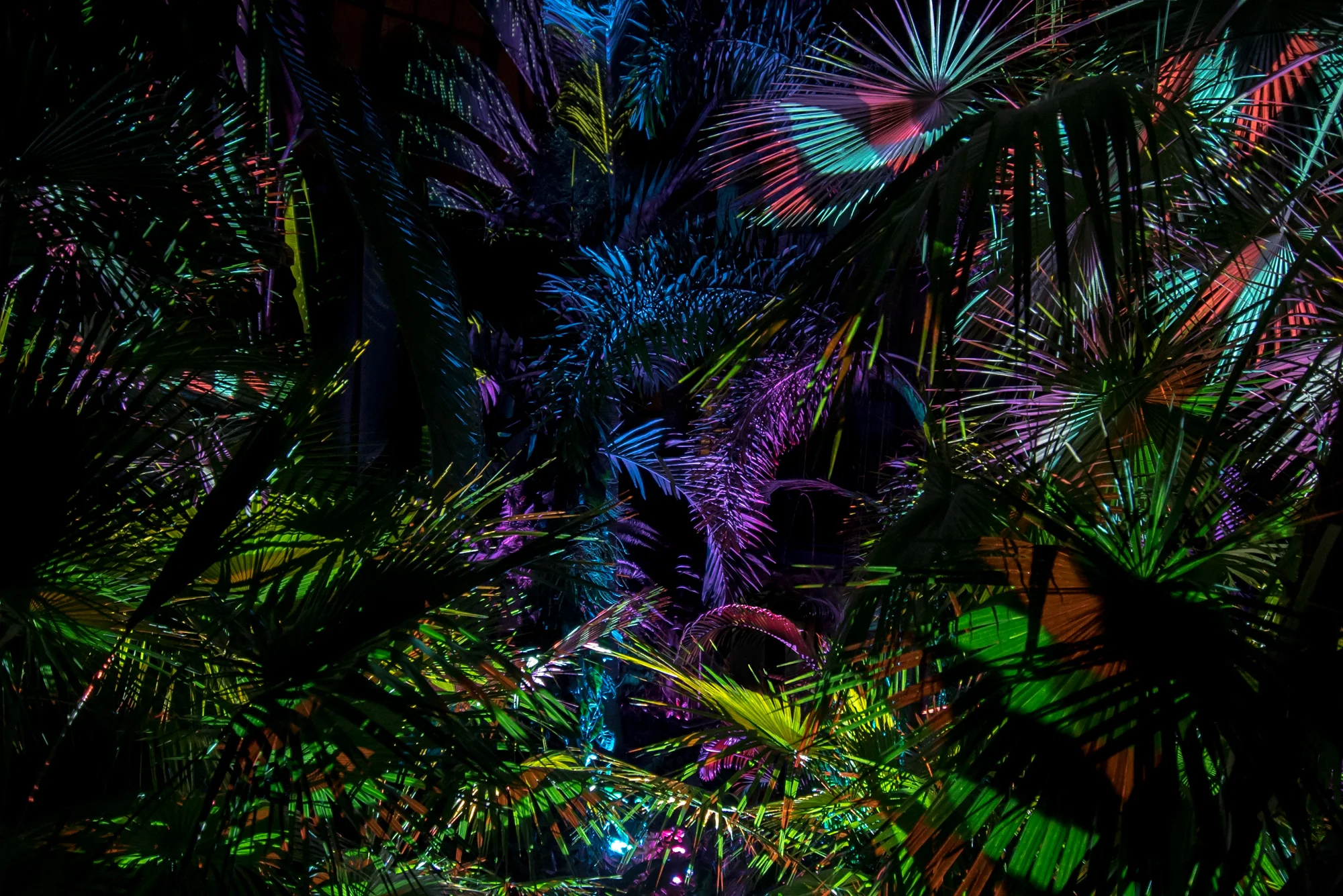 Nightscape