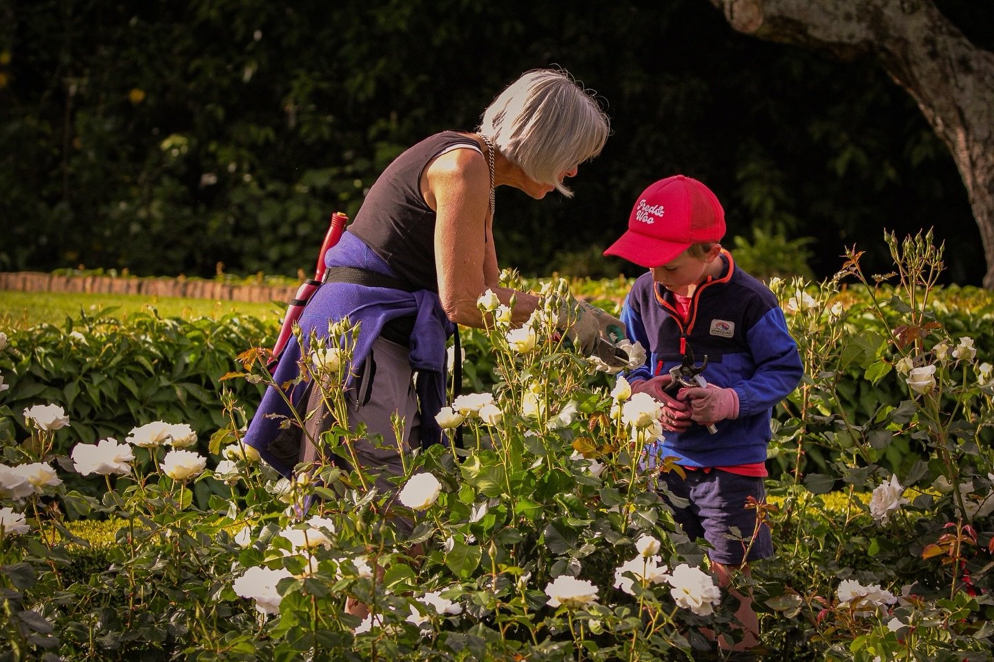A precious moment with Mr 6 ( Beau) and his Grandmother ( Mema) captured on early Sunday evening&hellip; when the rest of us were &lsquo;toes up&rsquo; and relaxing after an immensely busy week. I was fortunate enough to be a bystander to this heart-