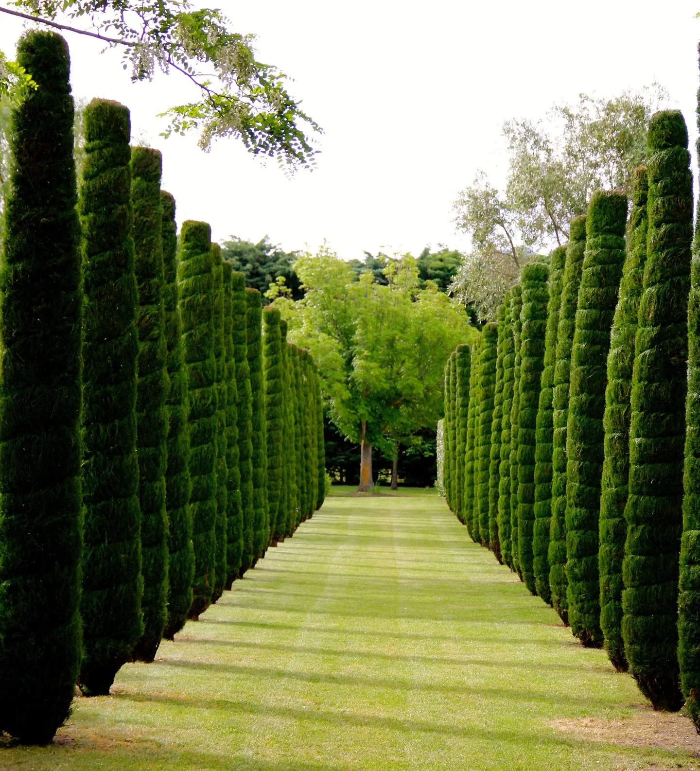 Fancy yourself as a bit of a gardener/ all round handy man/woman?! We are on the lookout for a gardener to join us here at Winterhome- please see our advertisement on trademe (link below) and share with anyone you think that might just tick all the b
