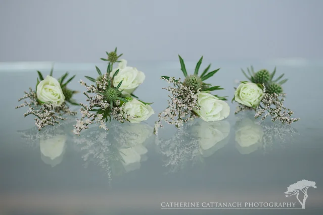 003-Wellington_Rowers_wedding.jpg