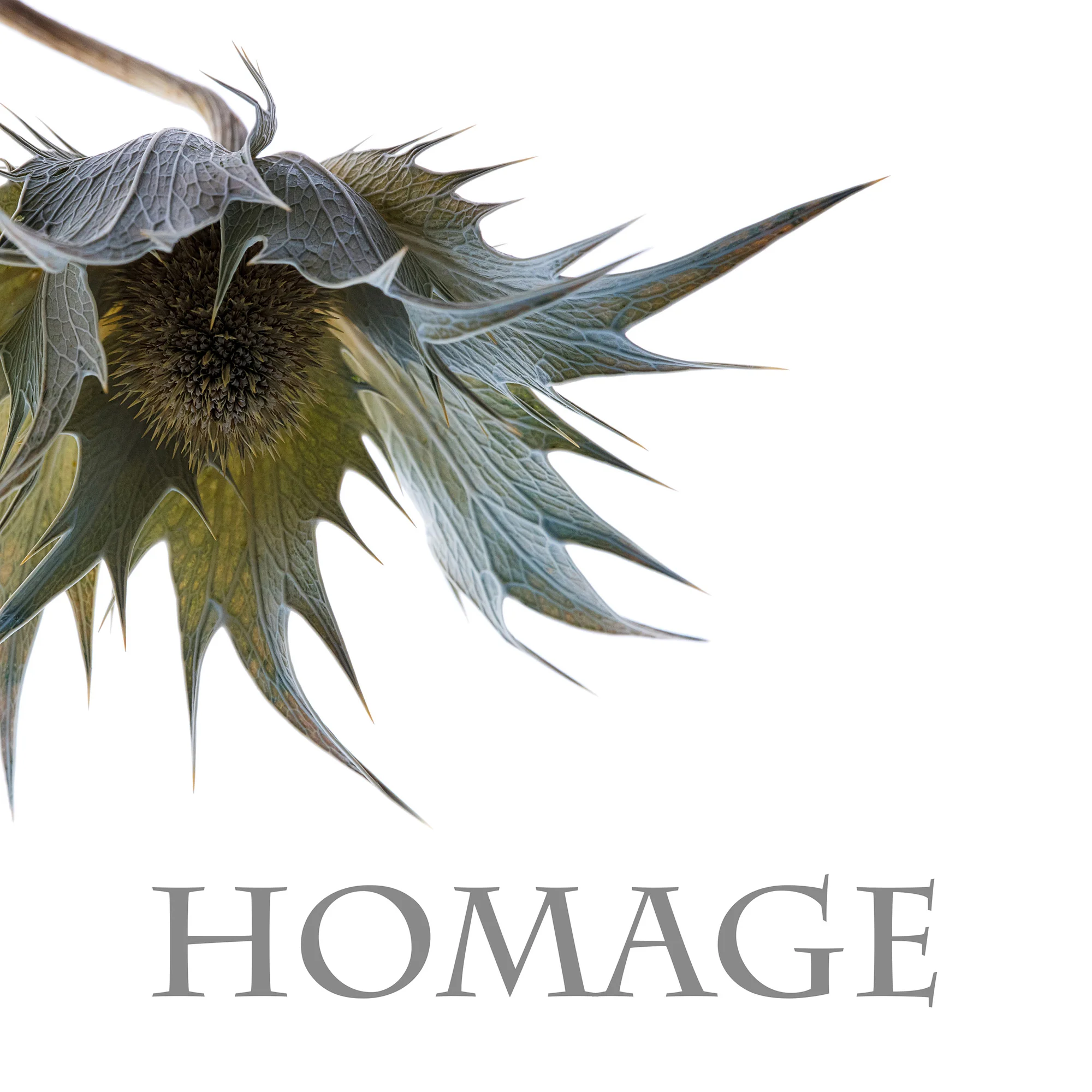 Silver-Homage_CattanachC_Book1.jpg