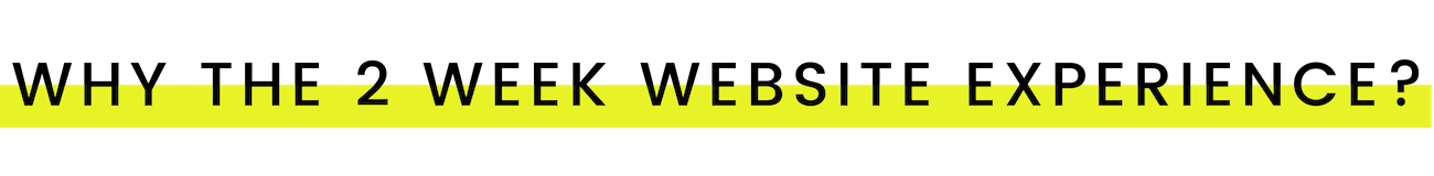 why the 2 week website experience_.png