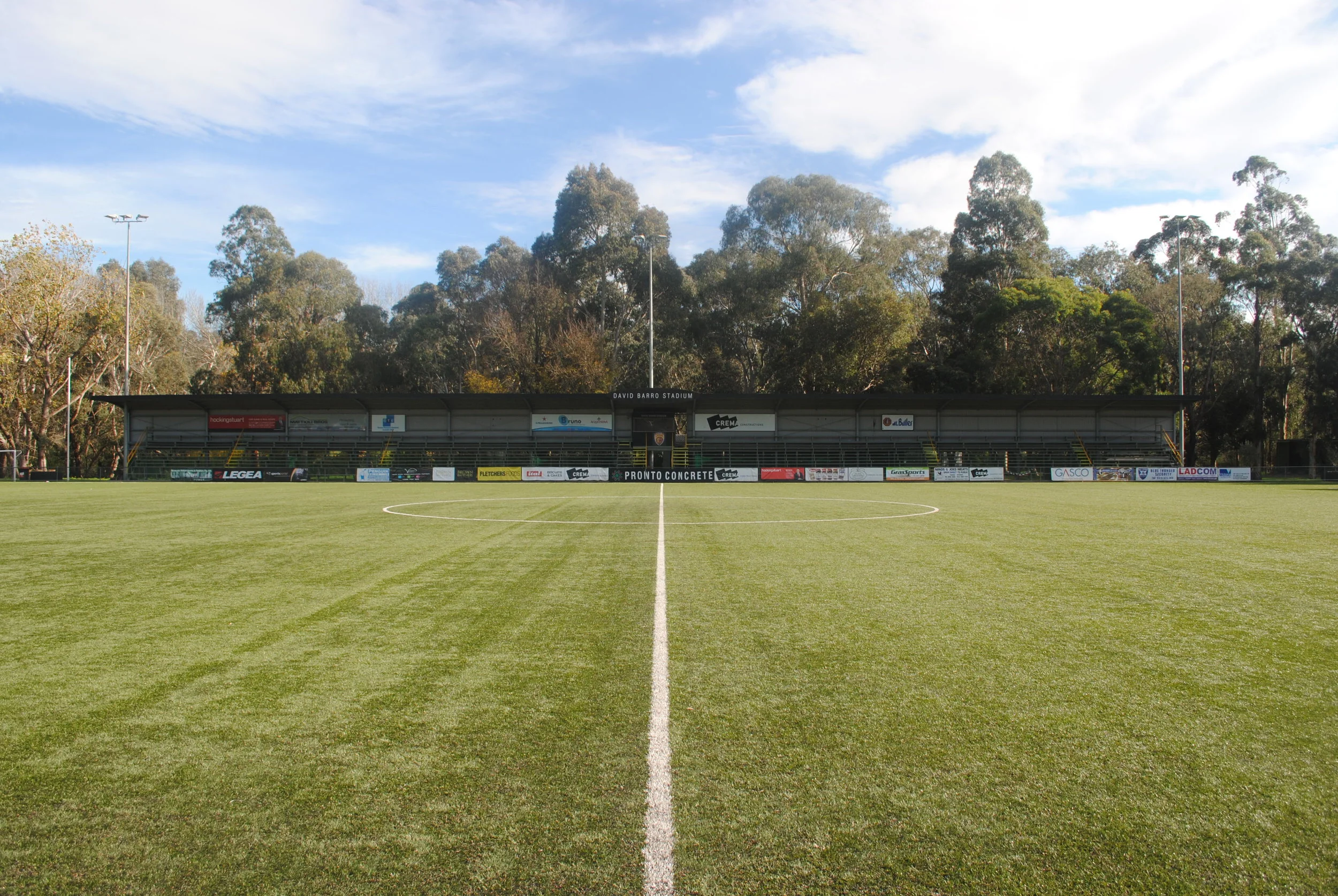 Soccer Pitch.jpg