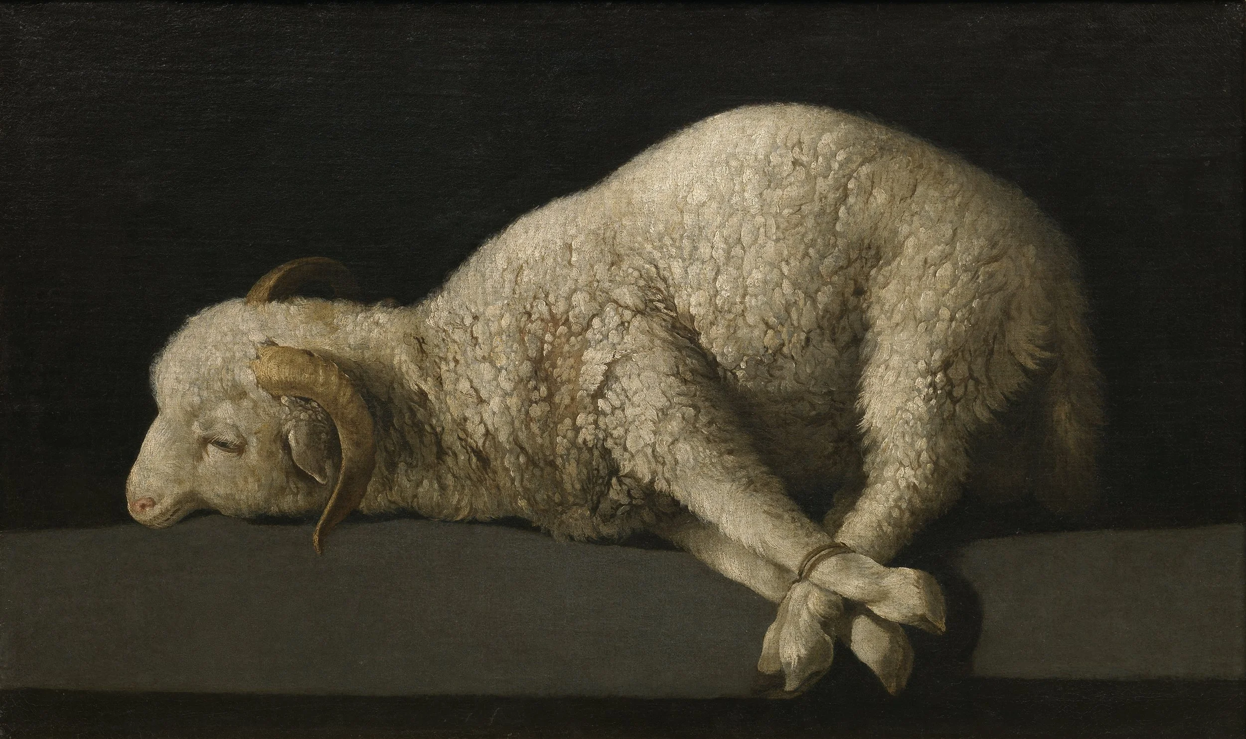 This is the One: Jesus the Lamb