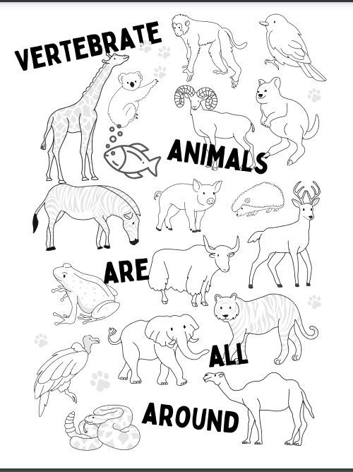 Vertebrate Animals Coloring Page — Hopscotch