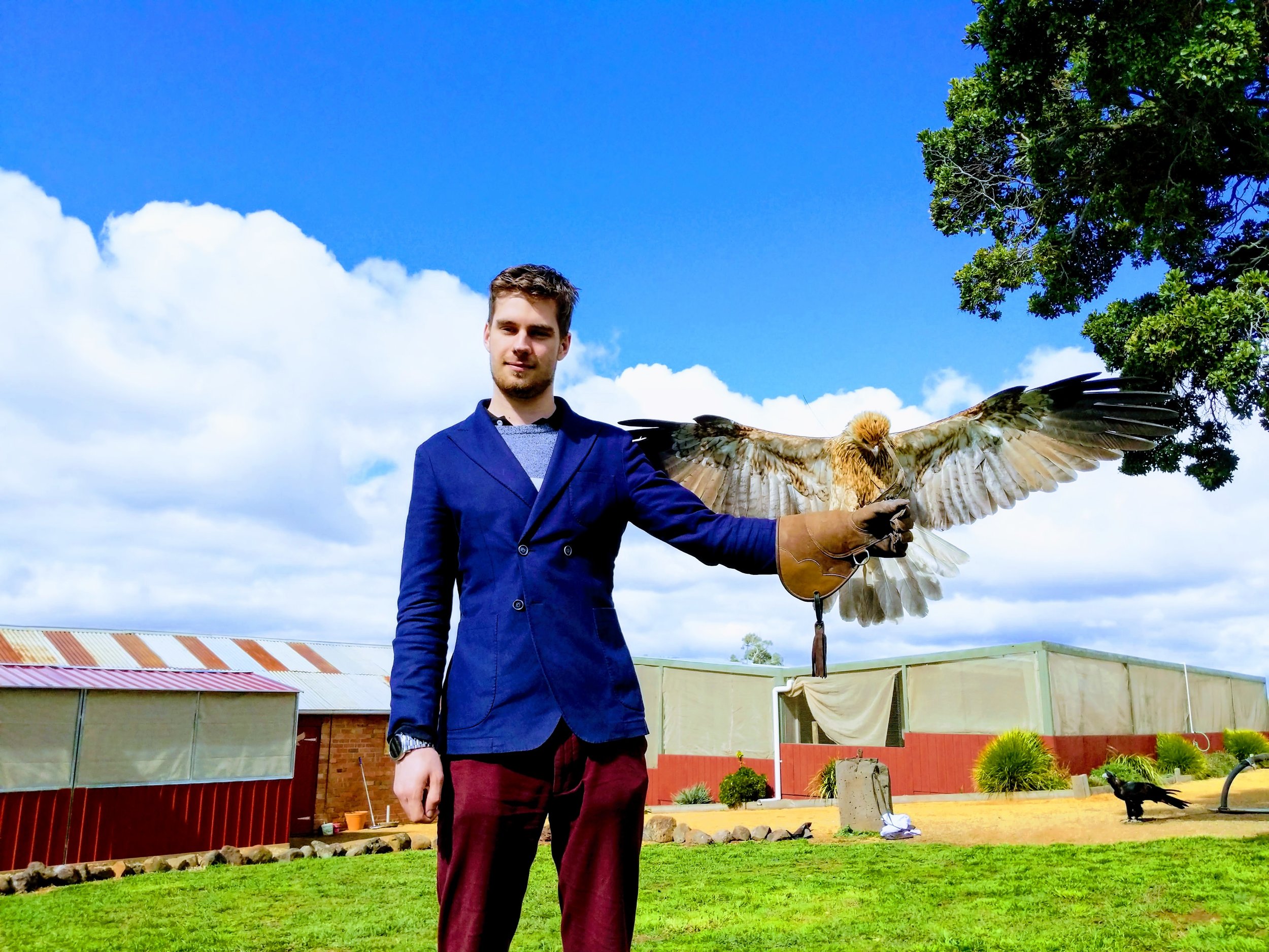 Hawk Vision 3.jpg