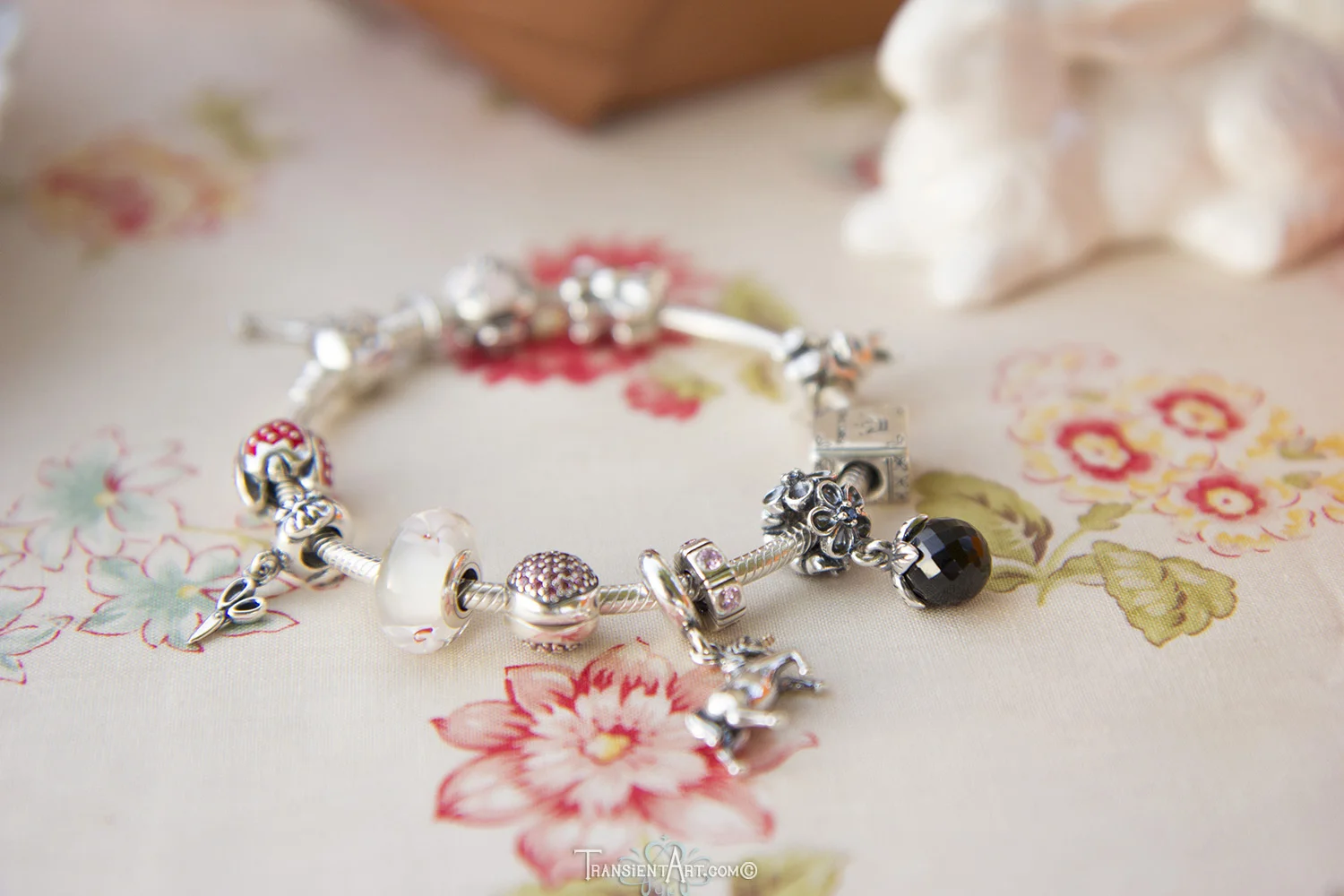 My Pandora Bracelet
