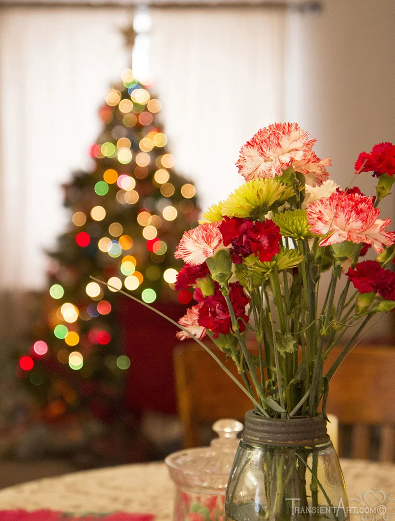 The Holidays are Finally Rolling Over ~Christmas 2013