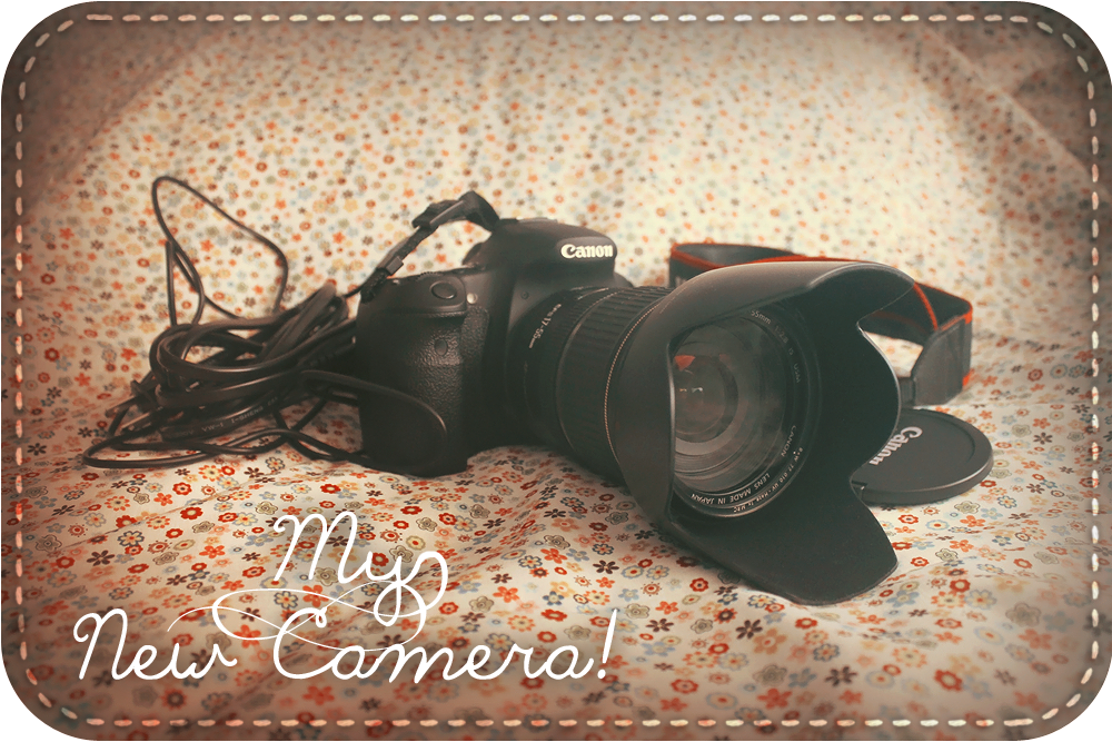 My New Camera