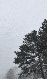 ezgif.com-optimize (1).gif