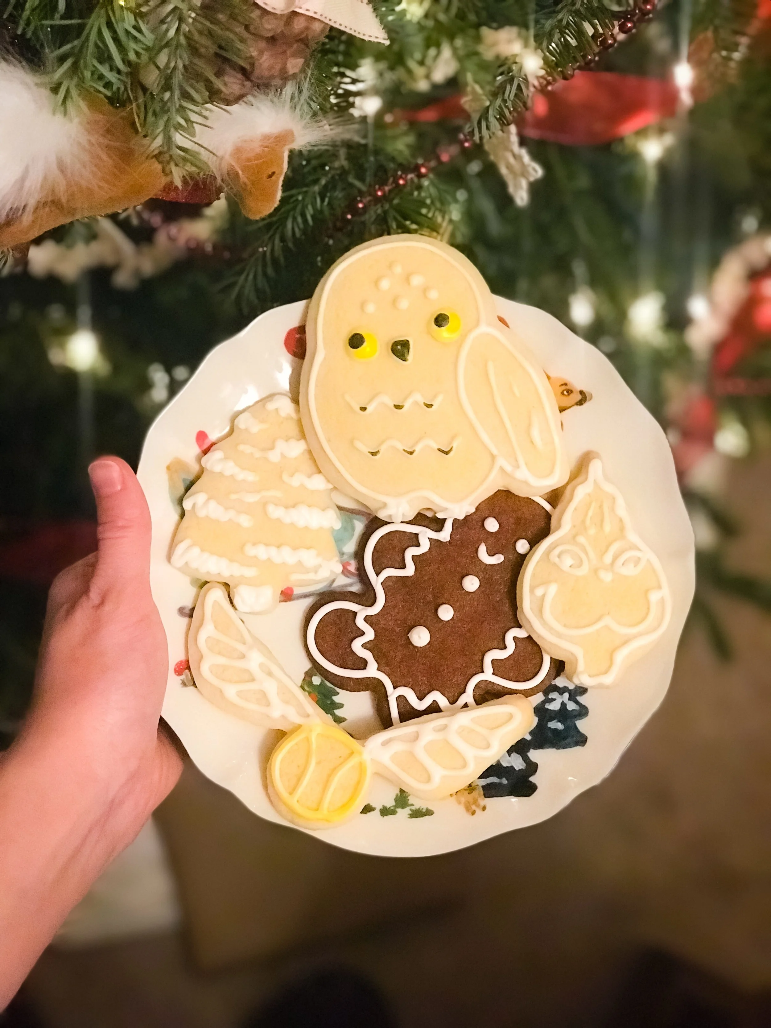 So Santa got Hedwig in his cookies.