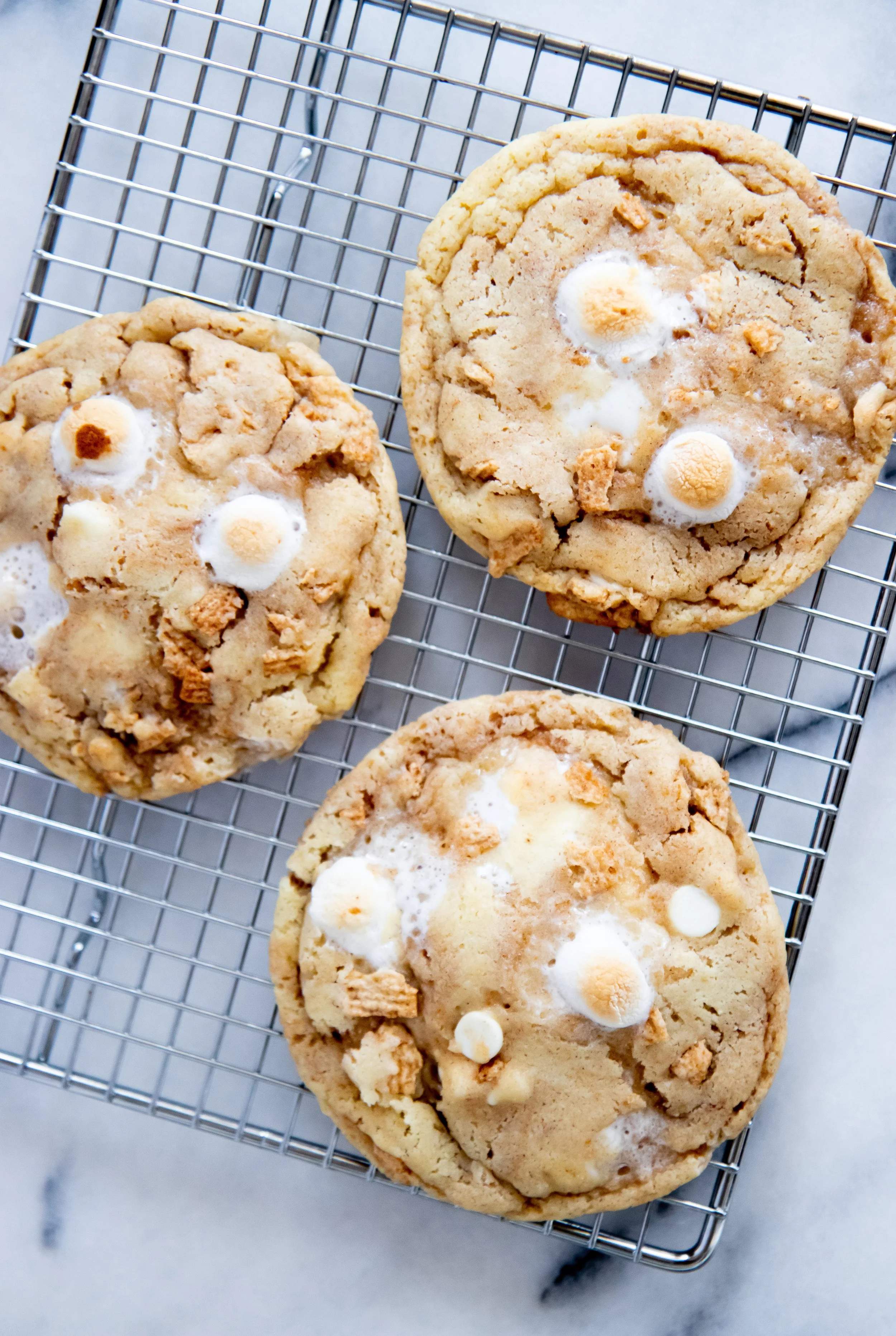 Cinnamon Toast Crunch Cookies Lauren Hitchcock3.jpg
