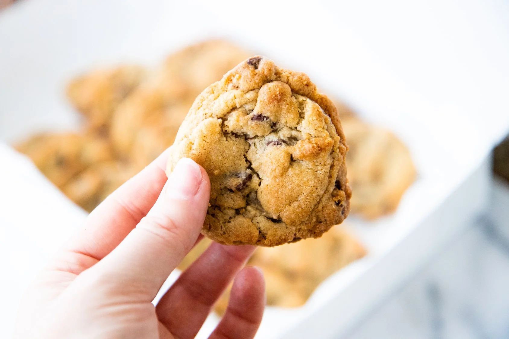 Chocolate_Chip_Cookie_5 _WEB.jpg