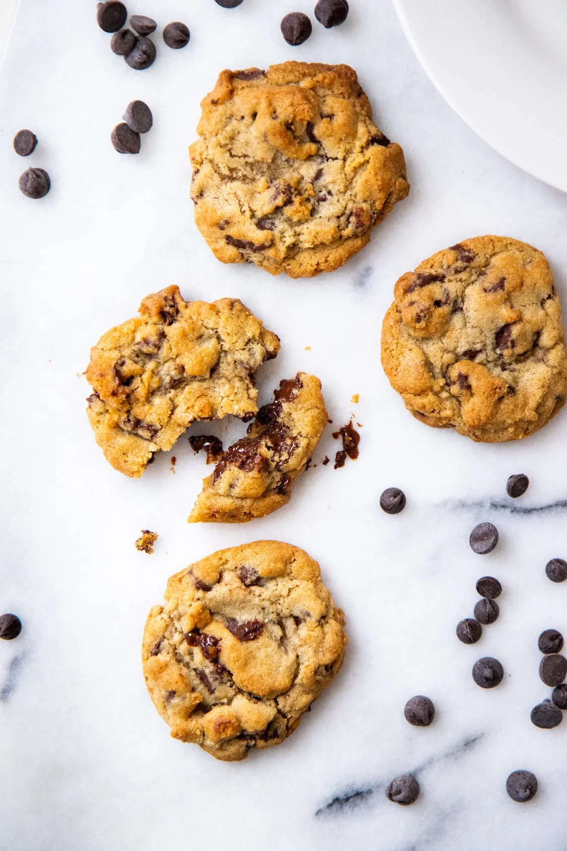 Chocolate_Chip_Cookie_16 _WEB.jpg