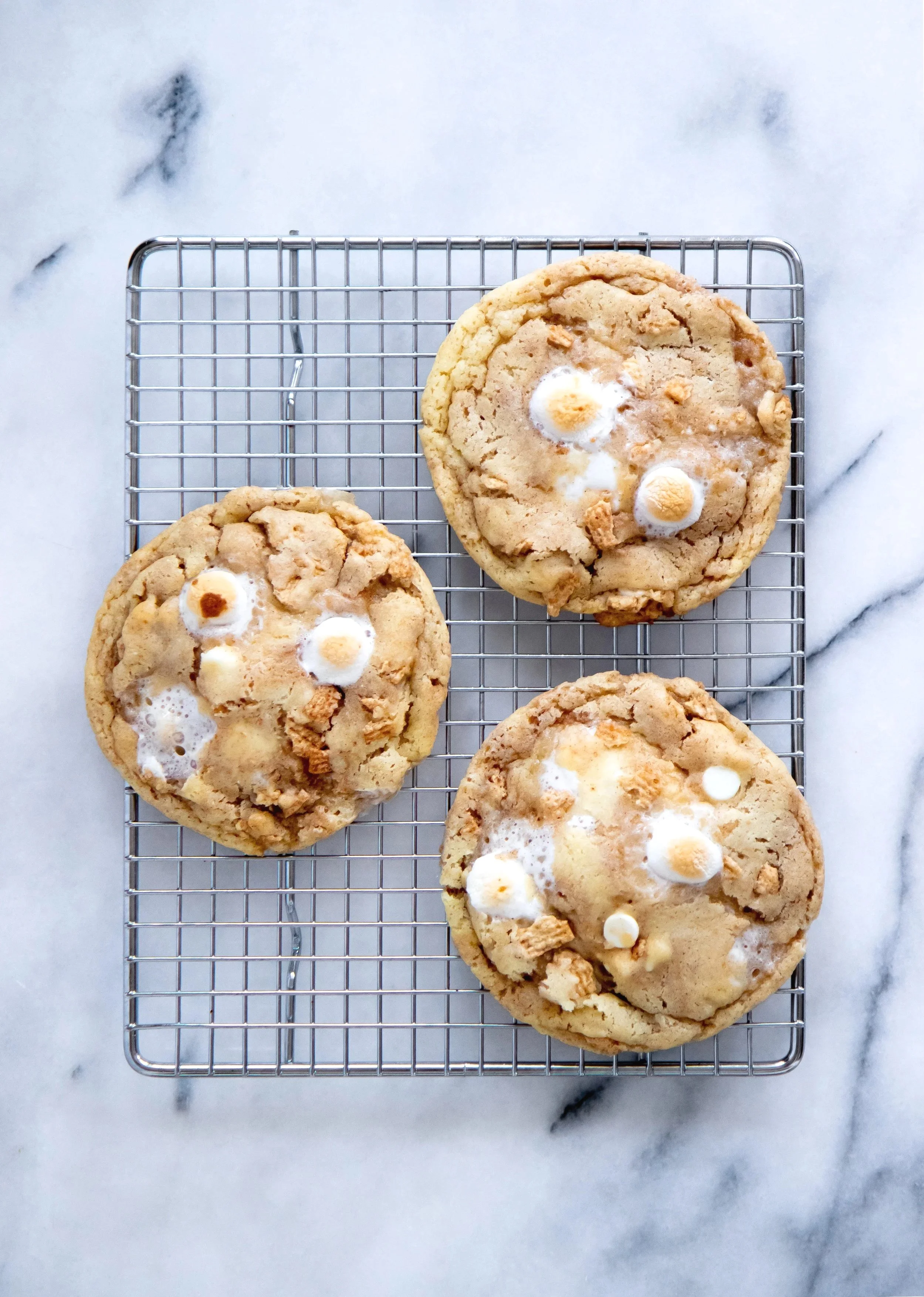 Cinnamon Toast Crunch Cookies Lauren Hitchcock5.jpg