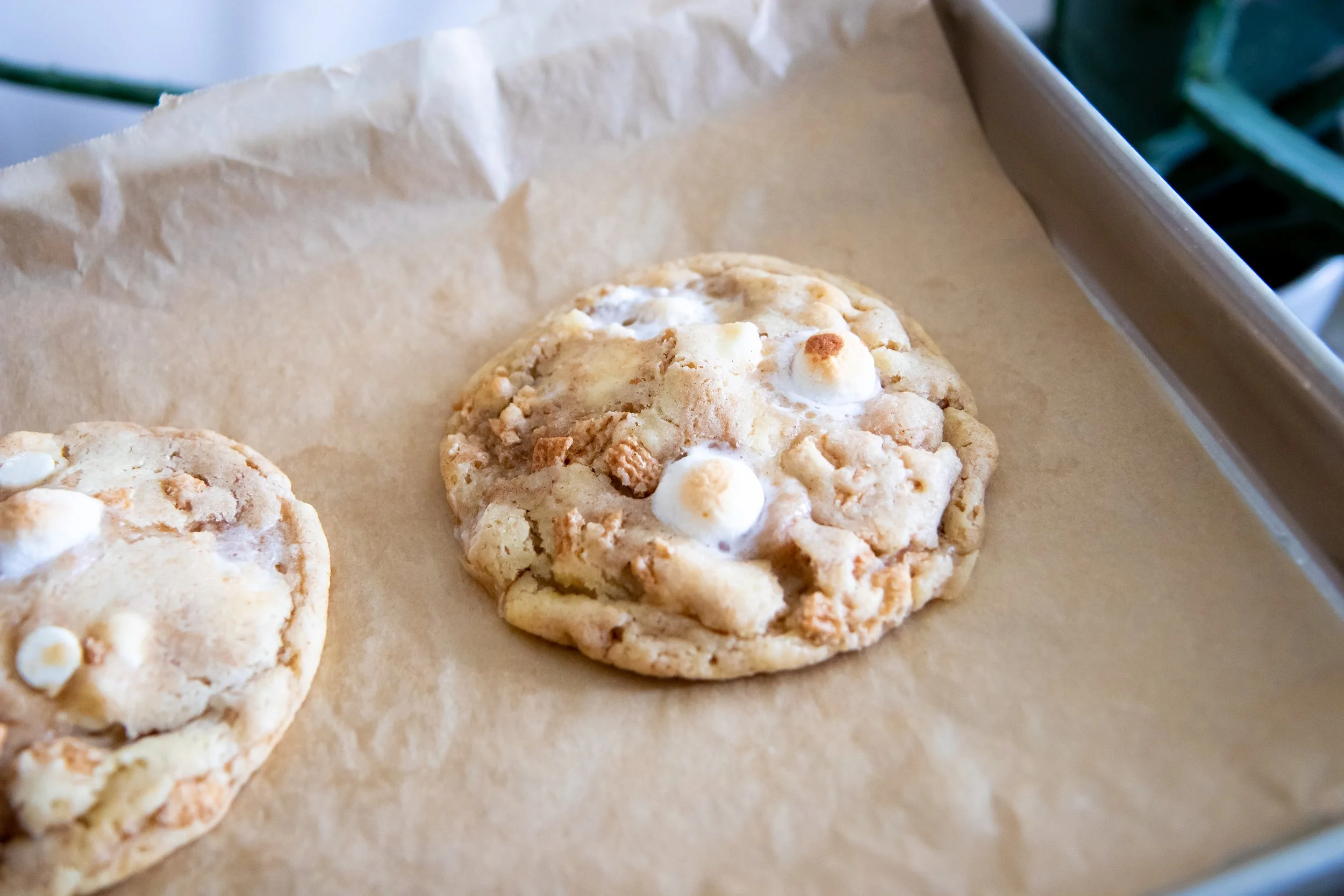 Cinnamon Toast Crunch Cookies Lauren Hitchcock8.jpg